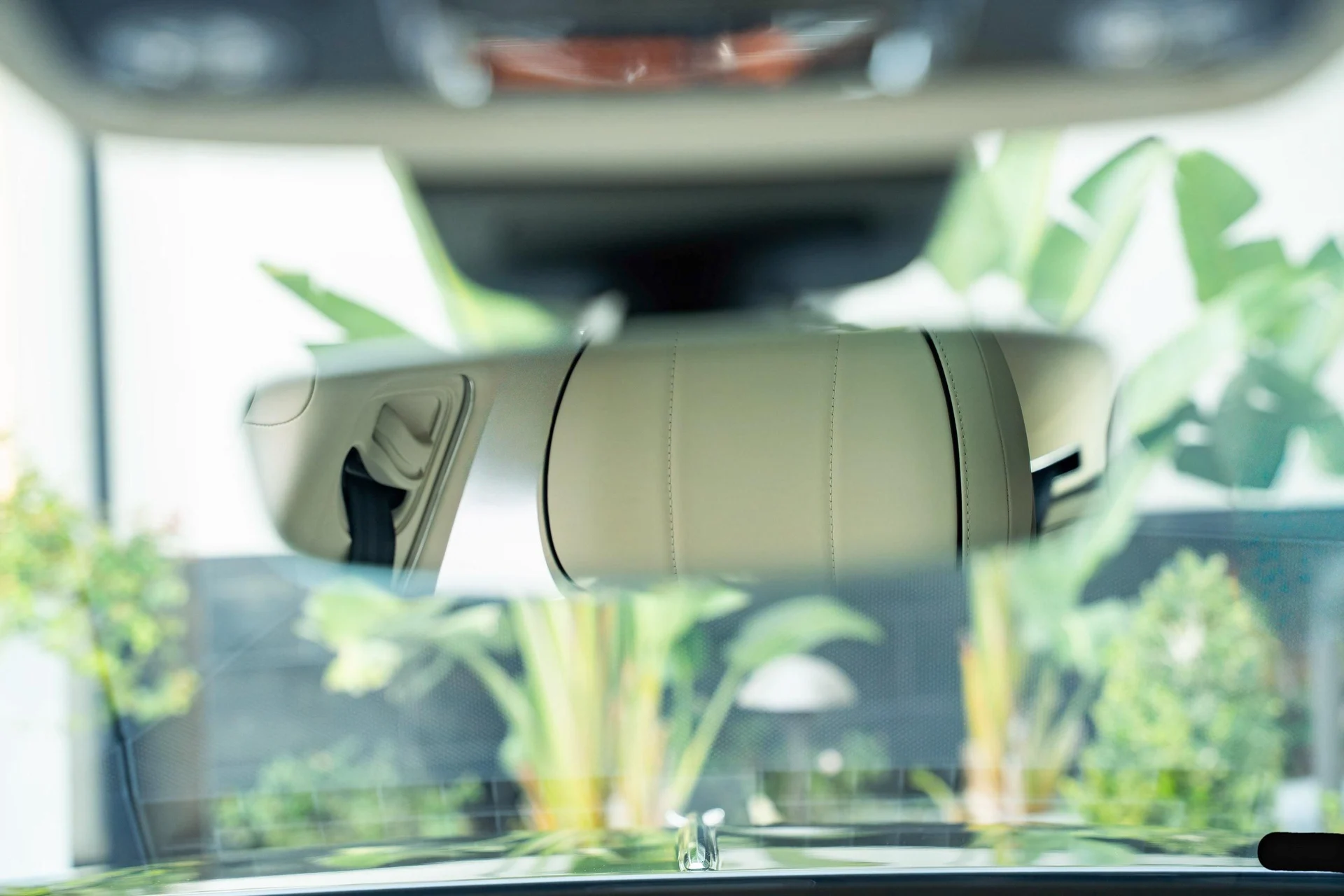 mph031_1838251601_477619930_695e14e5511ab76ffaffbc62_3069d4c653