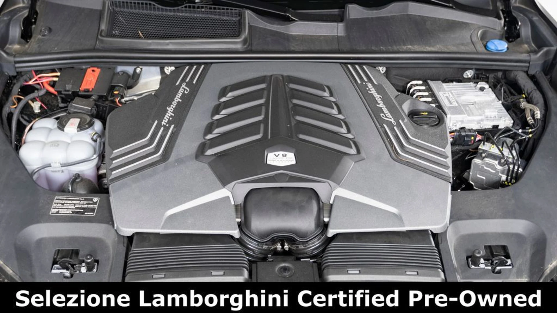 mph031_1958338627_770095326f76fd54c5026d7aab4aceccx_491bde6cd0