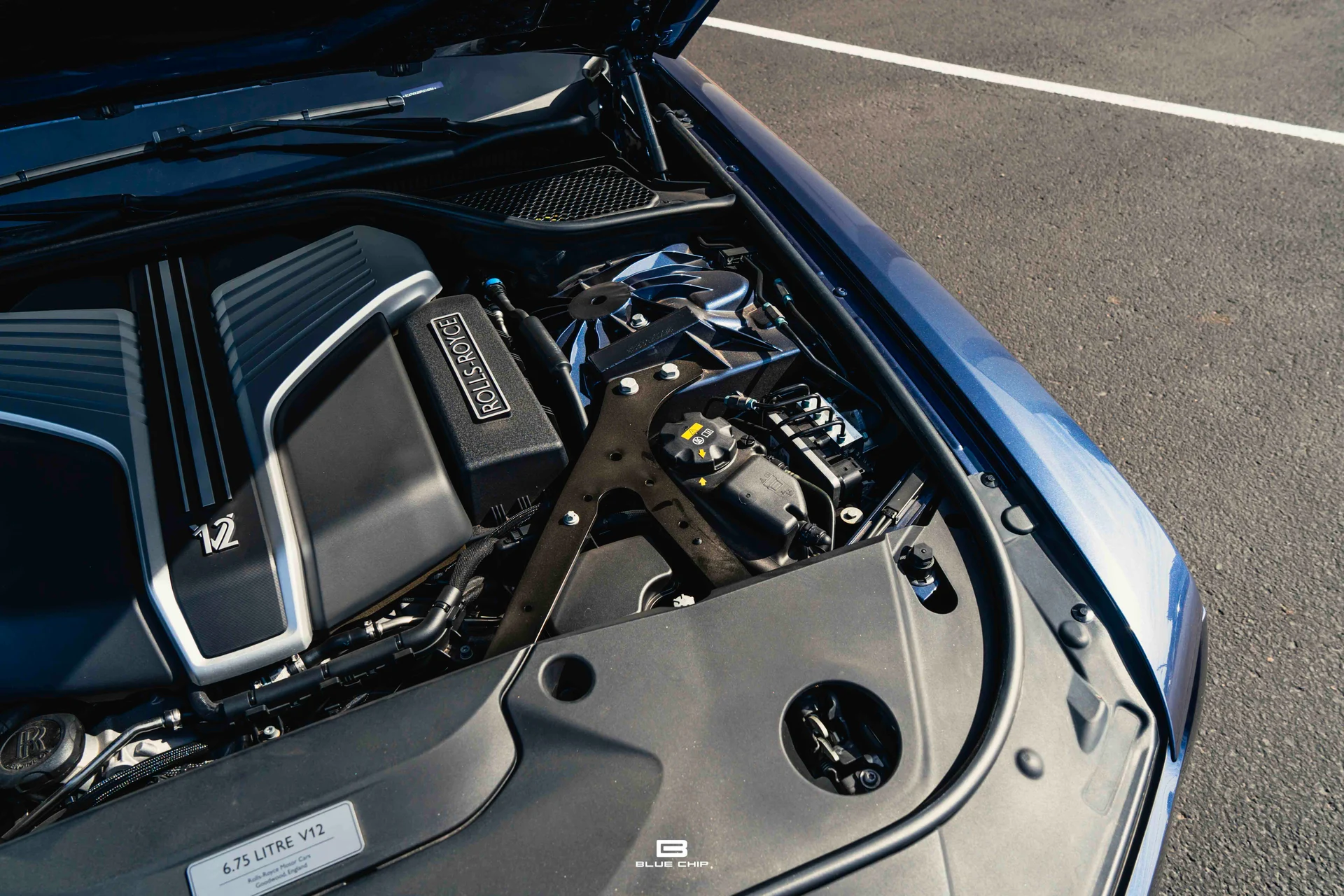 mph031_2092299939_688b80a066b385afe9774929_DSC_09457_79a24aab79