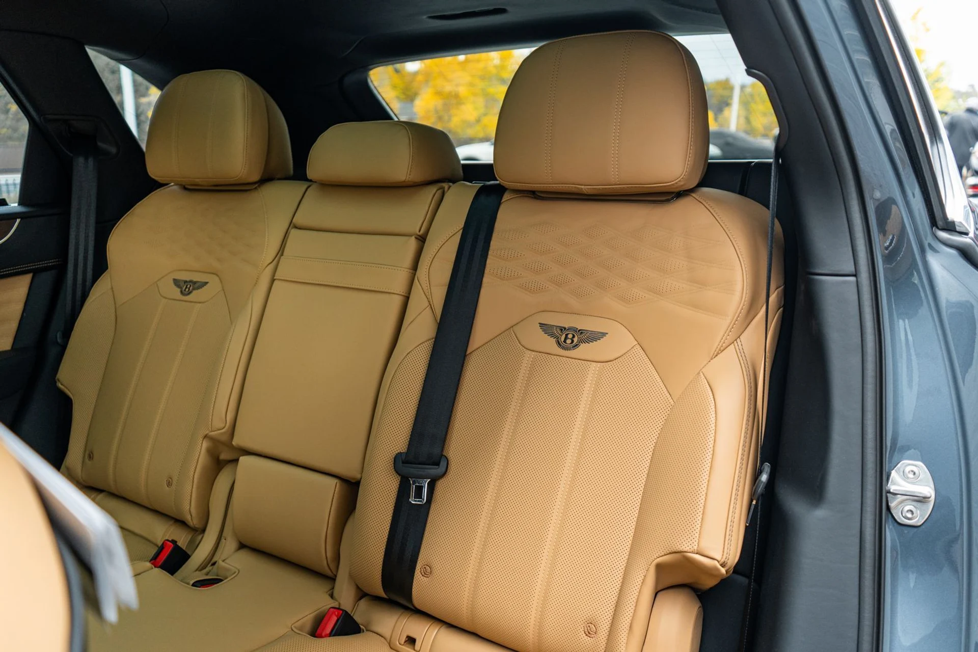 mph031_2126202335_ee917667_f8b1_4648_bdce_c18c970f9782_c092f11548