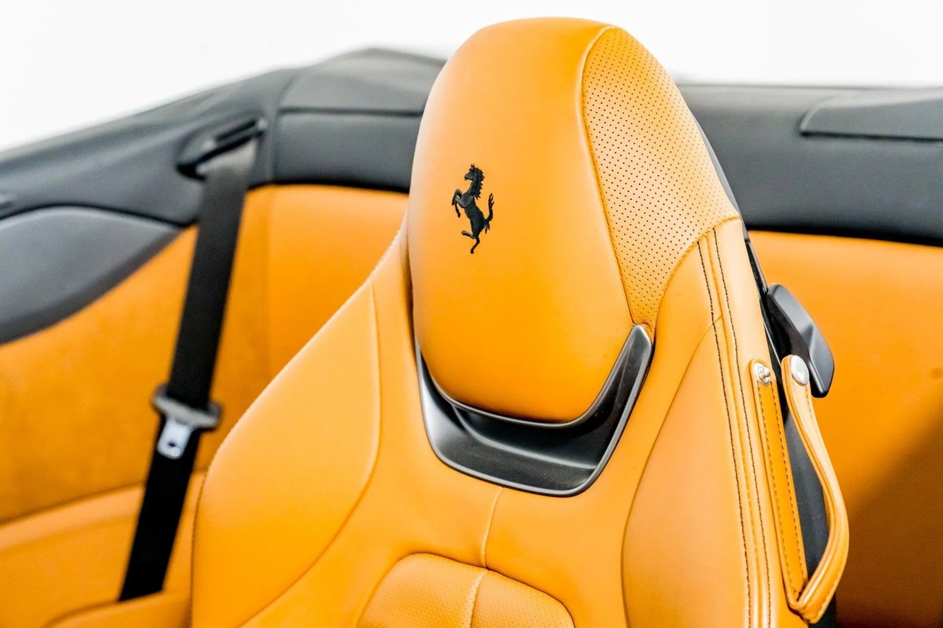 mph031_2167137654_0d7da383101c43cb96079262a828275e_5467b1e995