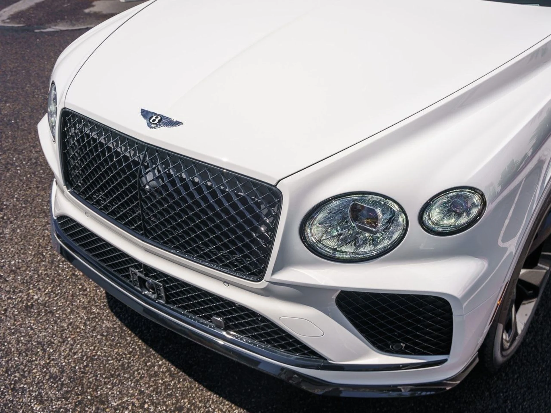 mph031_2182273600_8704a8681af323bcd35e4b44c96c6331x_3596ba220b