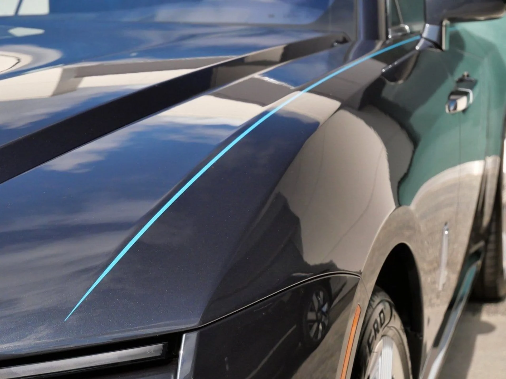 mph031_2299739058_063ddbaa38fddcfa198378d2df325cb7x_83a23f61f7