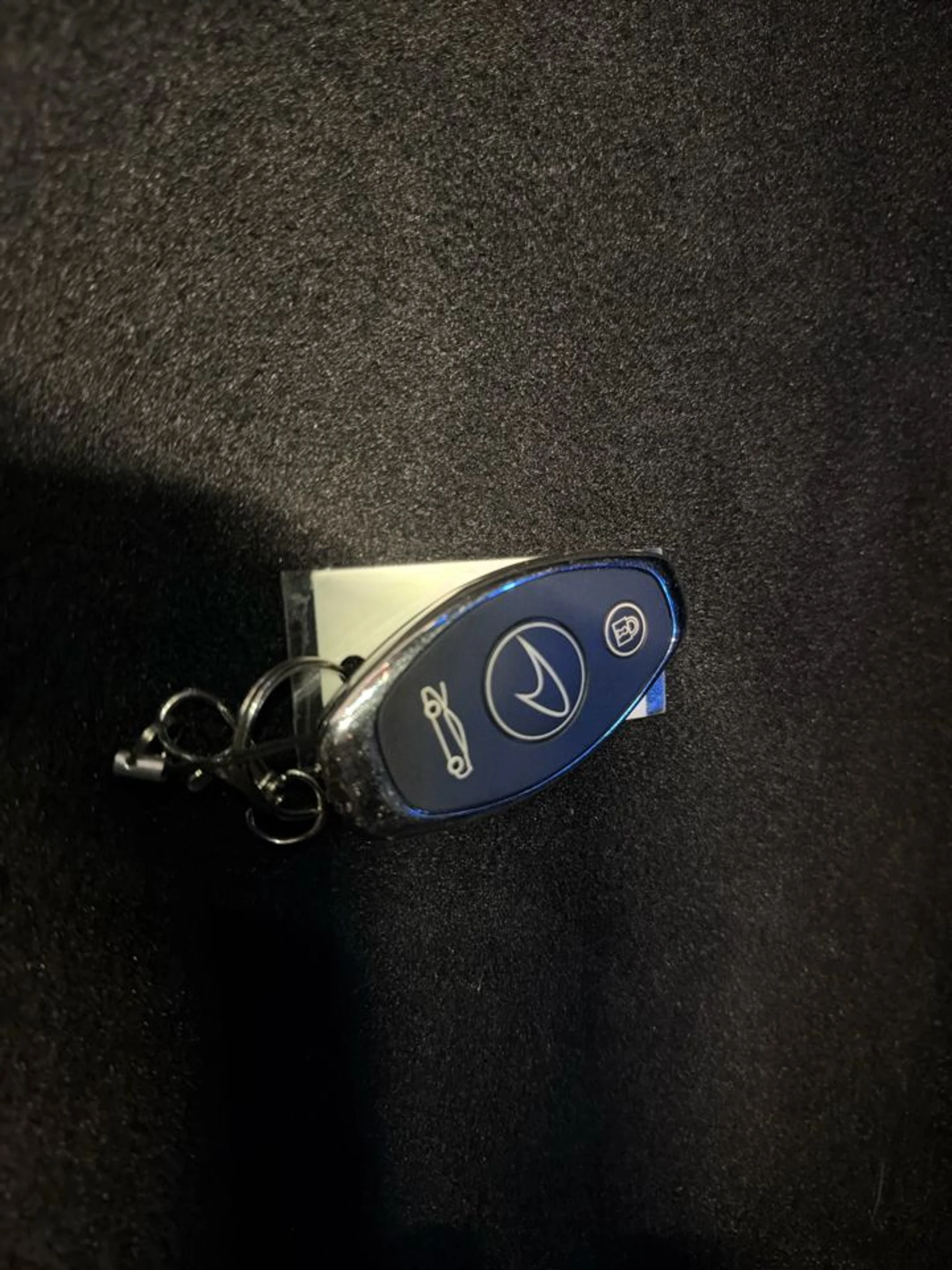 mph031_2420835166_639026192855793297_8cd4832b76