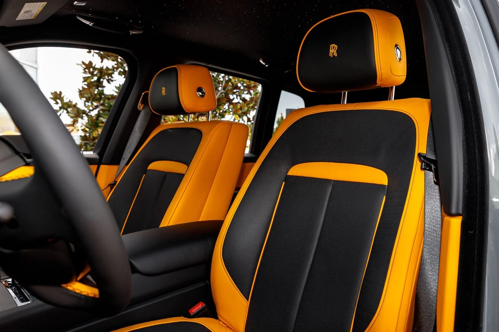 mph031_2686820336_8c47a55e3b1e9482548b52dbf455e7cax_8754d8b9fd