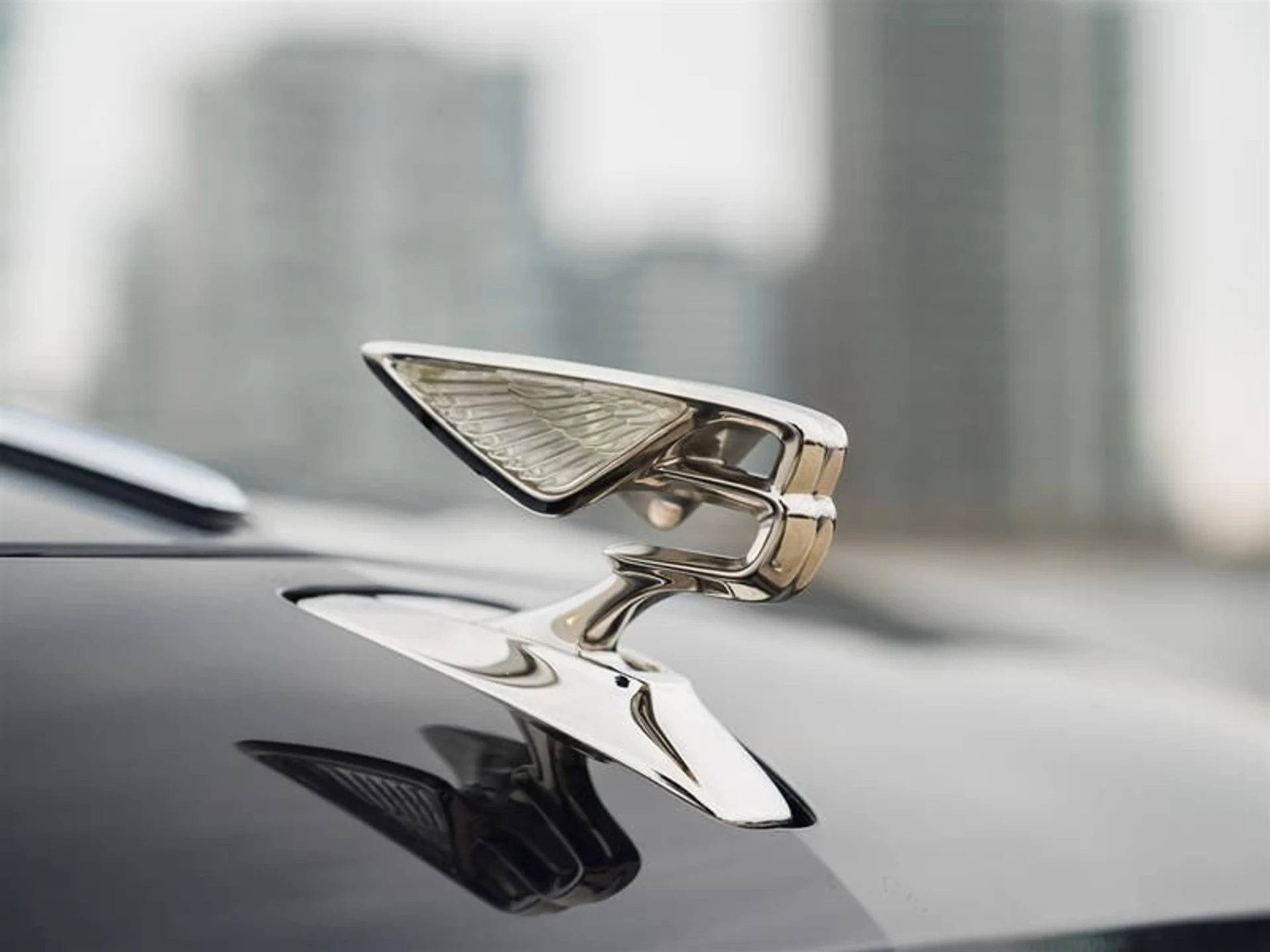 mph031_280752019_wflhswtv_e00379116b