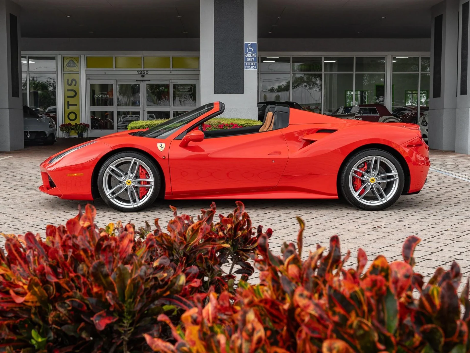 mph031_287472844_Used_2019_Ferrari_488_Spider_Convertible_1771513881_38a6921867