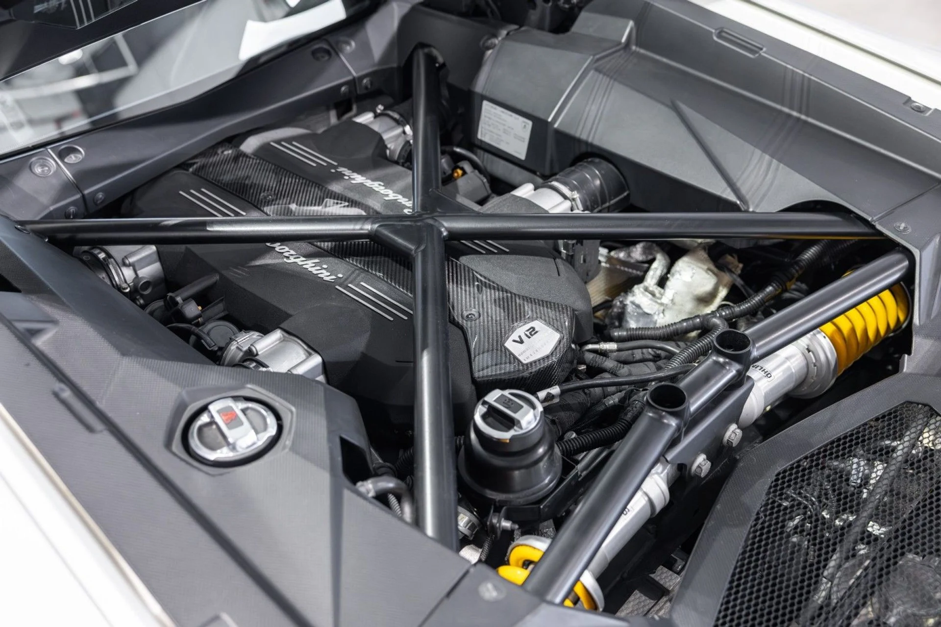 mph031_3142230975_1_Q_87dd9a8b77