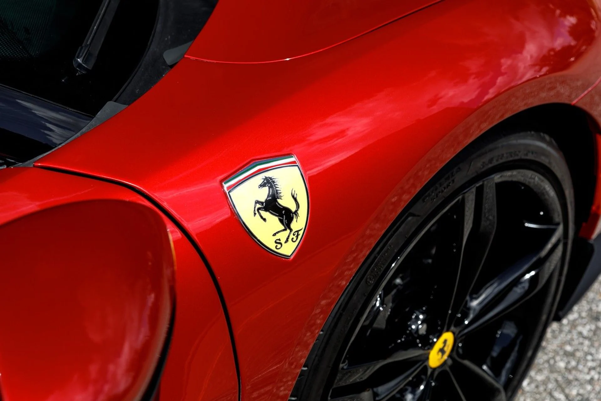 mph031_316346709_435_p32_l_9722aca191