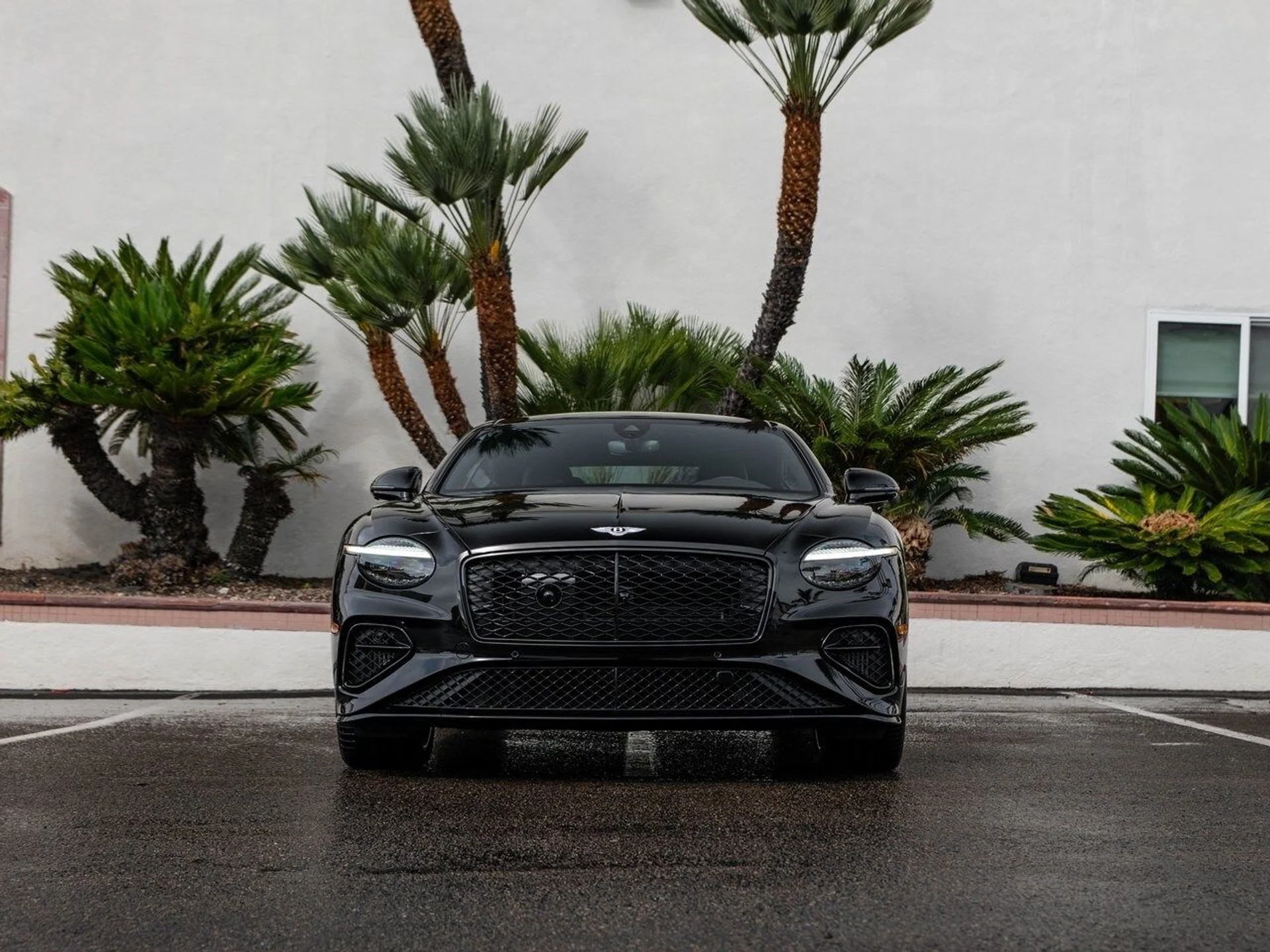 mph031_3236356060_1dd4e3c37fc3001eadde7dd30914061ax_29278a75c4