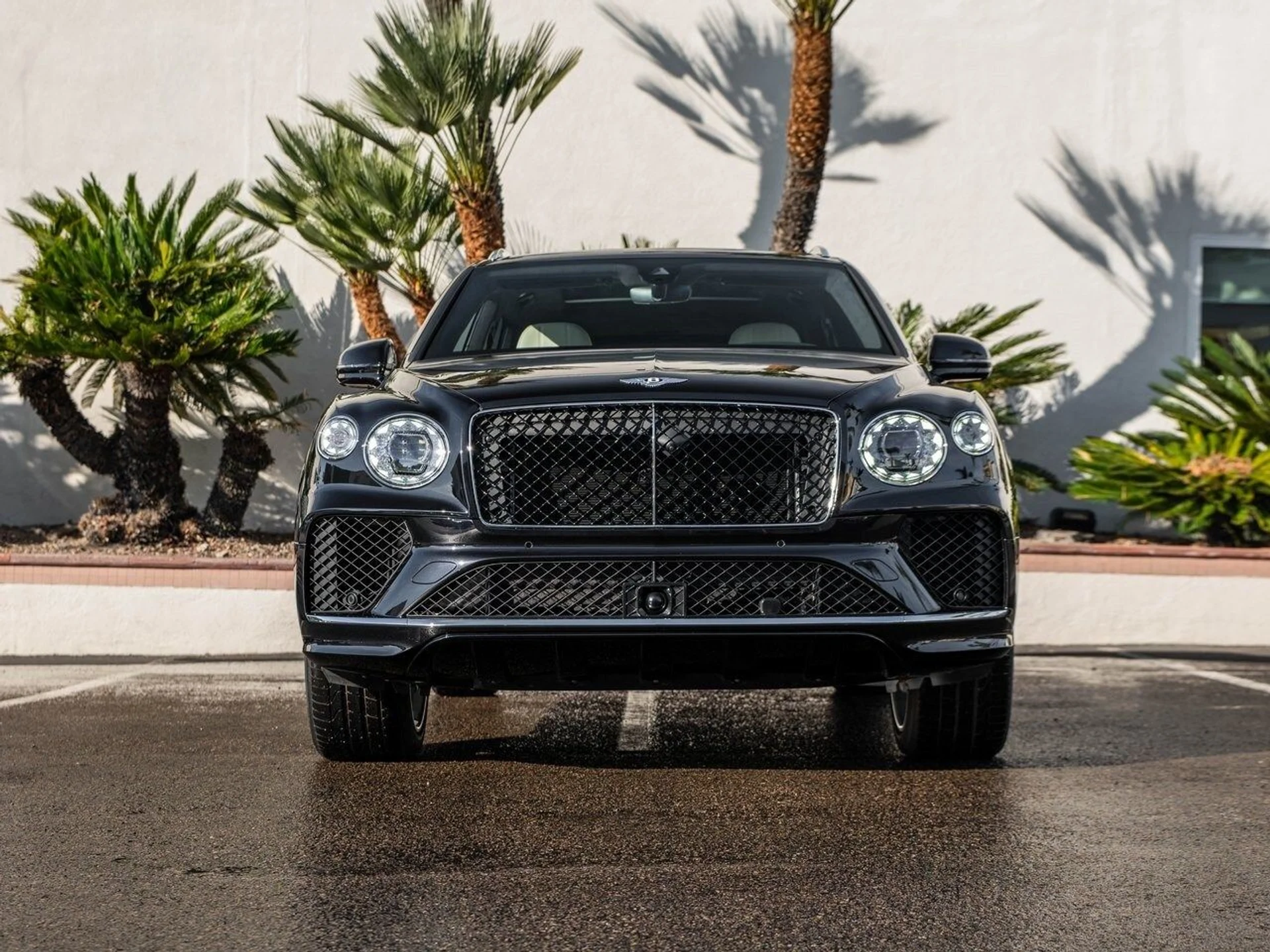 mph031_3239093989_97fee38411eea809acea192b52f58535x_052605209d