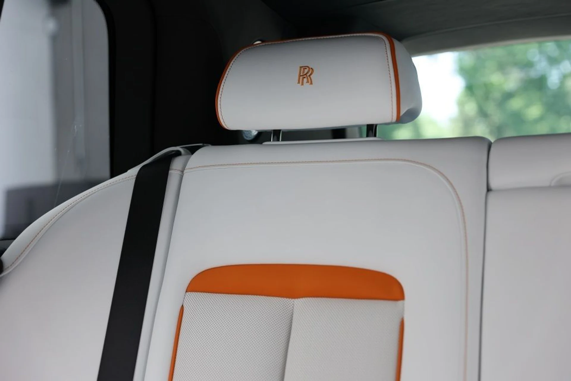 mph031_3427613903_o3ib19no0tnrhf5ekmjpzjr6xt2q_cc2e4286f6