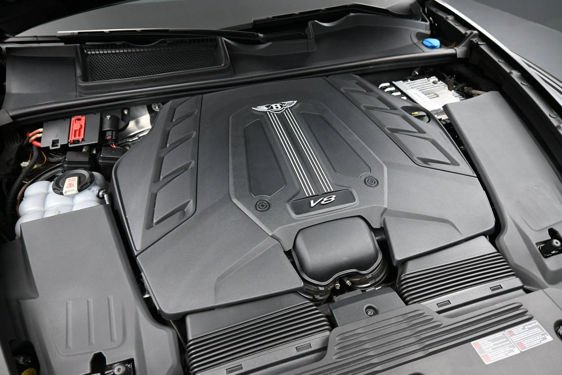 mph031_3495864535_556377931_6acfa364e93105bd1a78ff9e_3bdc91065b