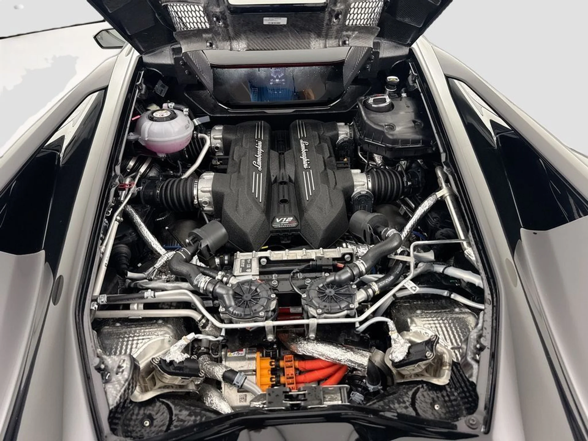 mph031_3553117857_dbba87702fb8661b44104be9194e4278_f79d80da9b