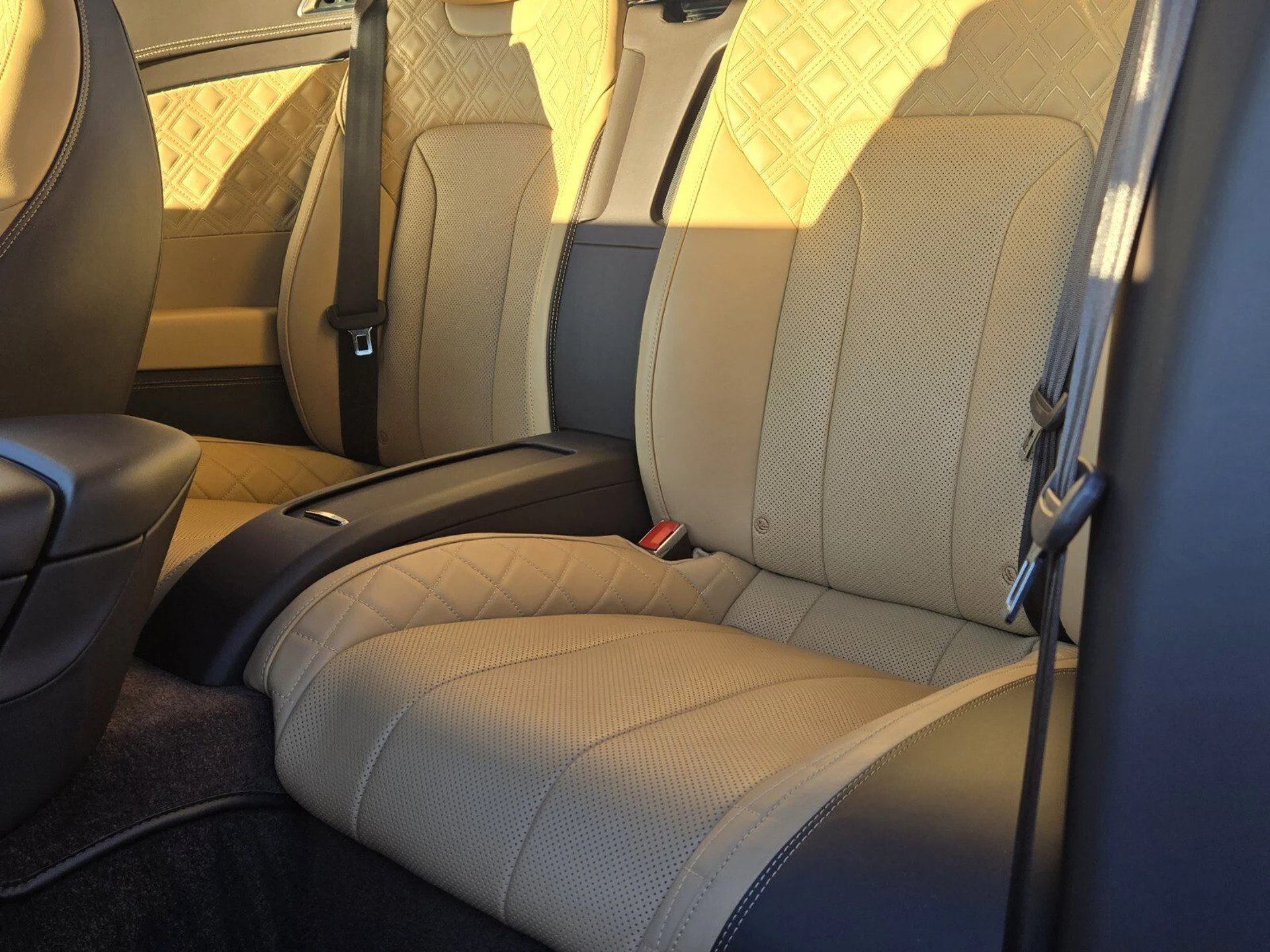 mph031_3586395196_2644f60202347536111e90ef599cfc02x_695baa5531