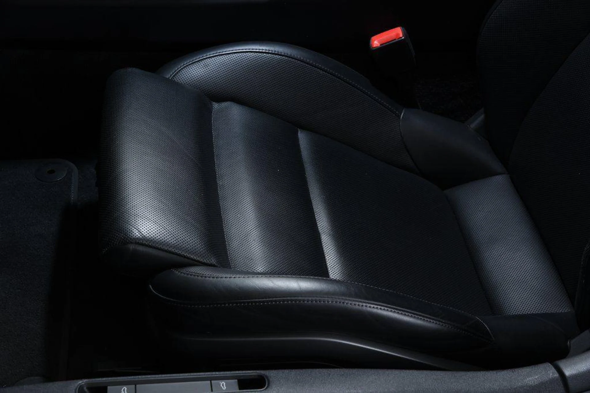 mph031_3637119247_7_Vdw24_Phi7a_EC_Xb5ky_VC_Can_BFRI_6b94fbab92