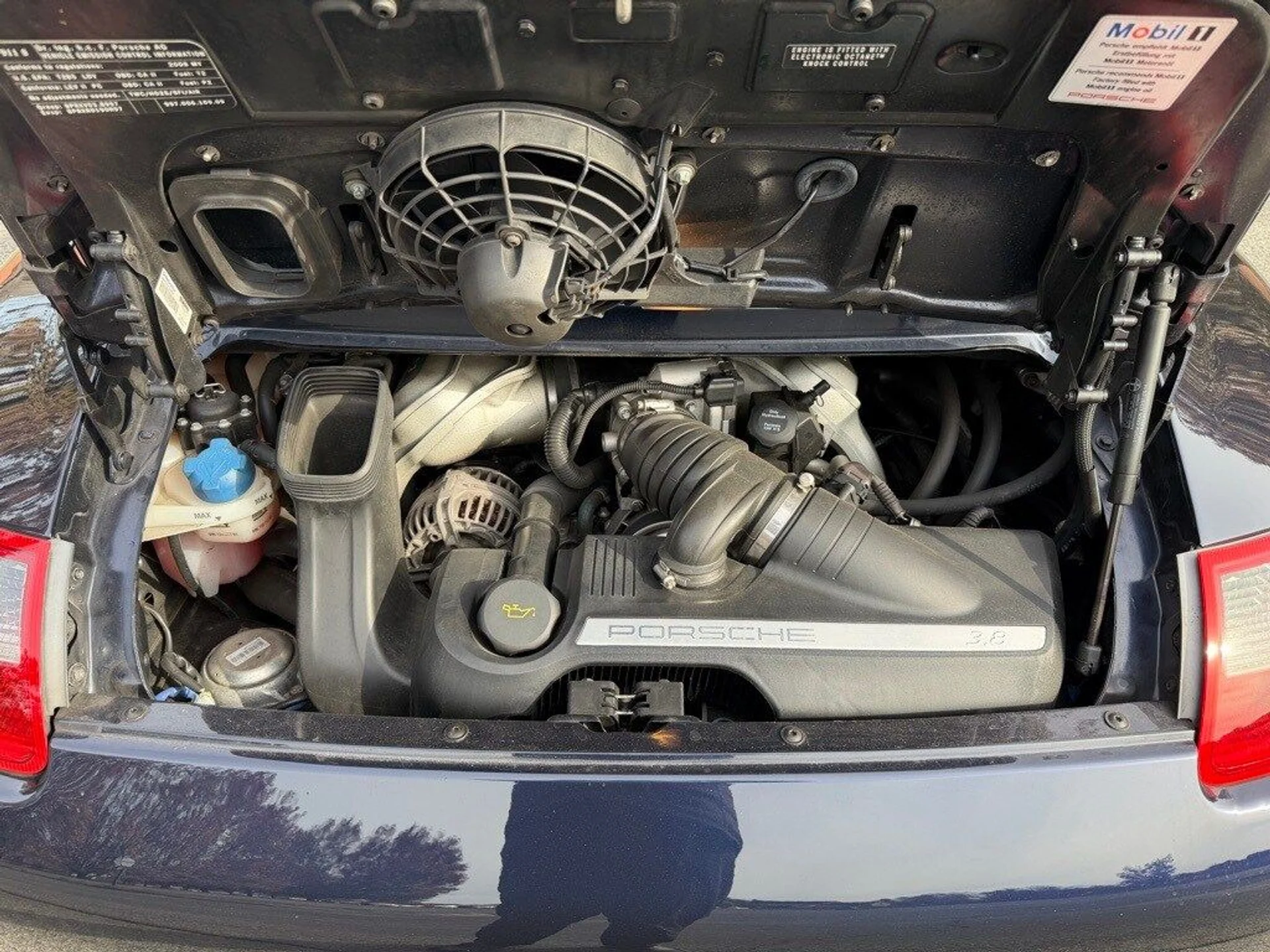 mph031_3789978255_856f71457e46a2aeb85c4f07683fc6a6x_4ab8121f77