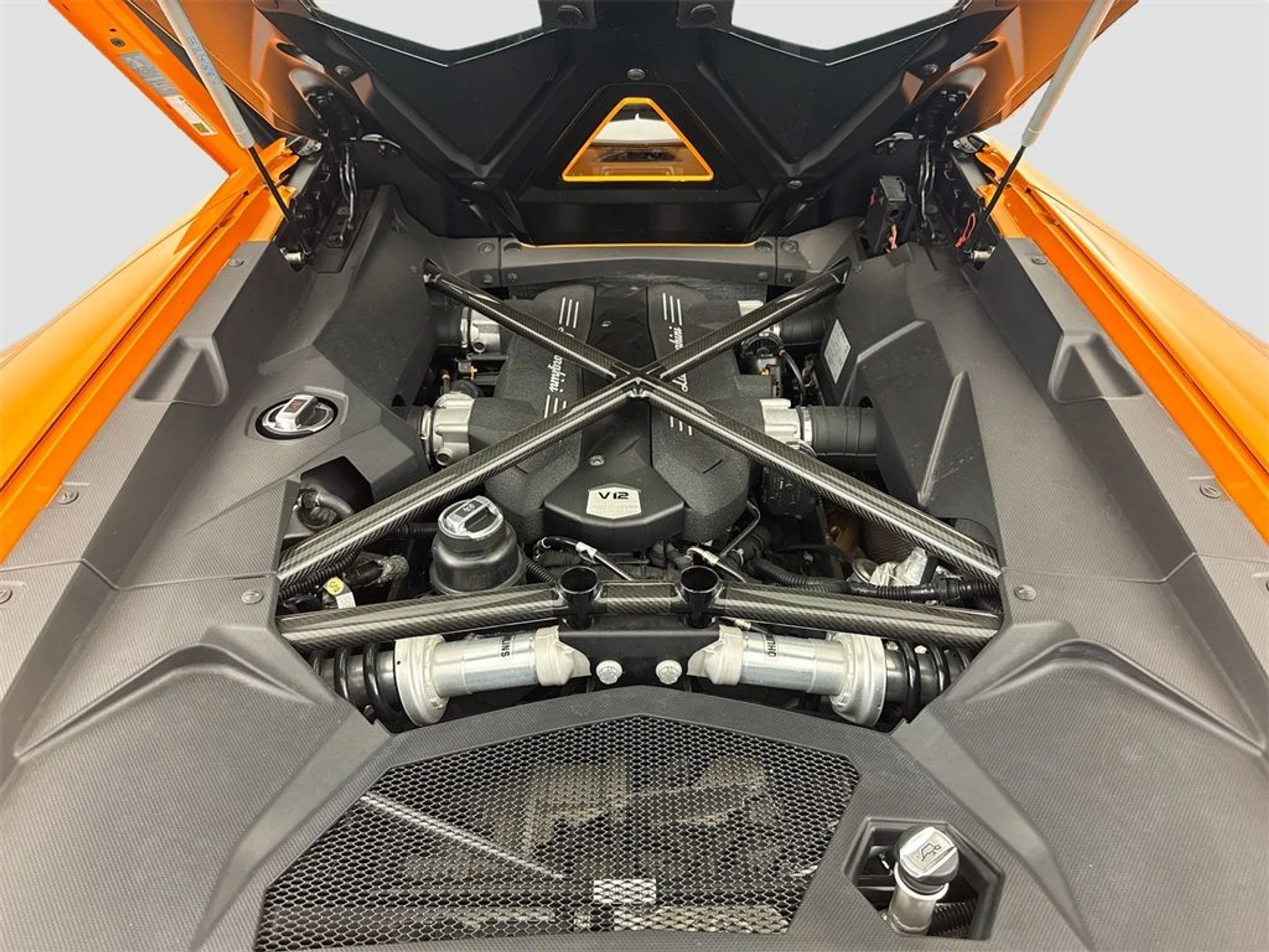 mph031_3790125164_d8b99c9cb8da6d7599a0d4d8e7663e31_369f331bc0