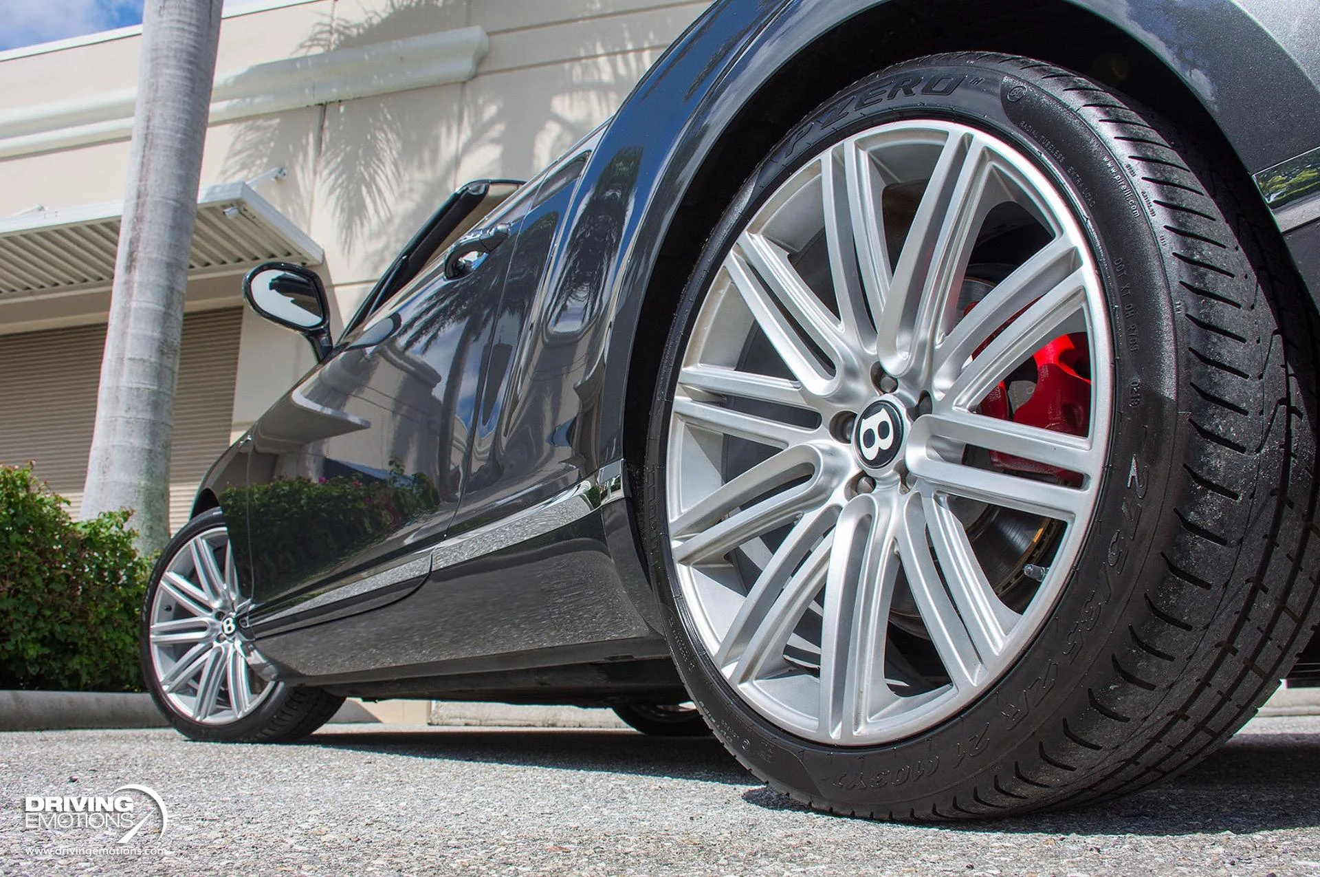 mph031_4205570114_871_p32_l_675500dfb0