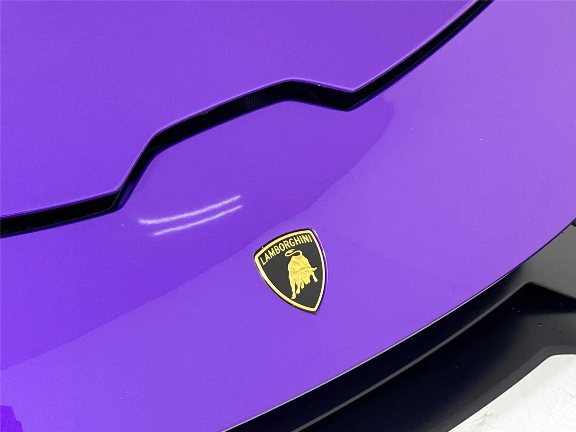 mph031_534088454_77981967f1e9e4125695b2175c256d35_fe59b5b02b