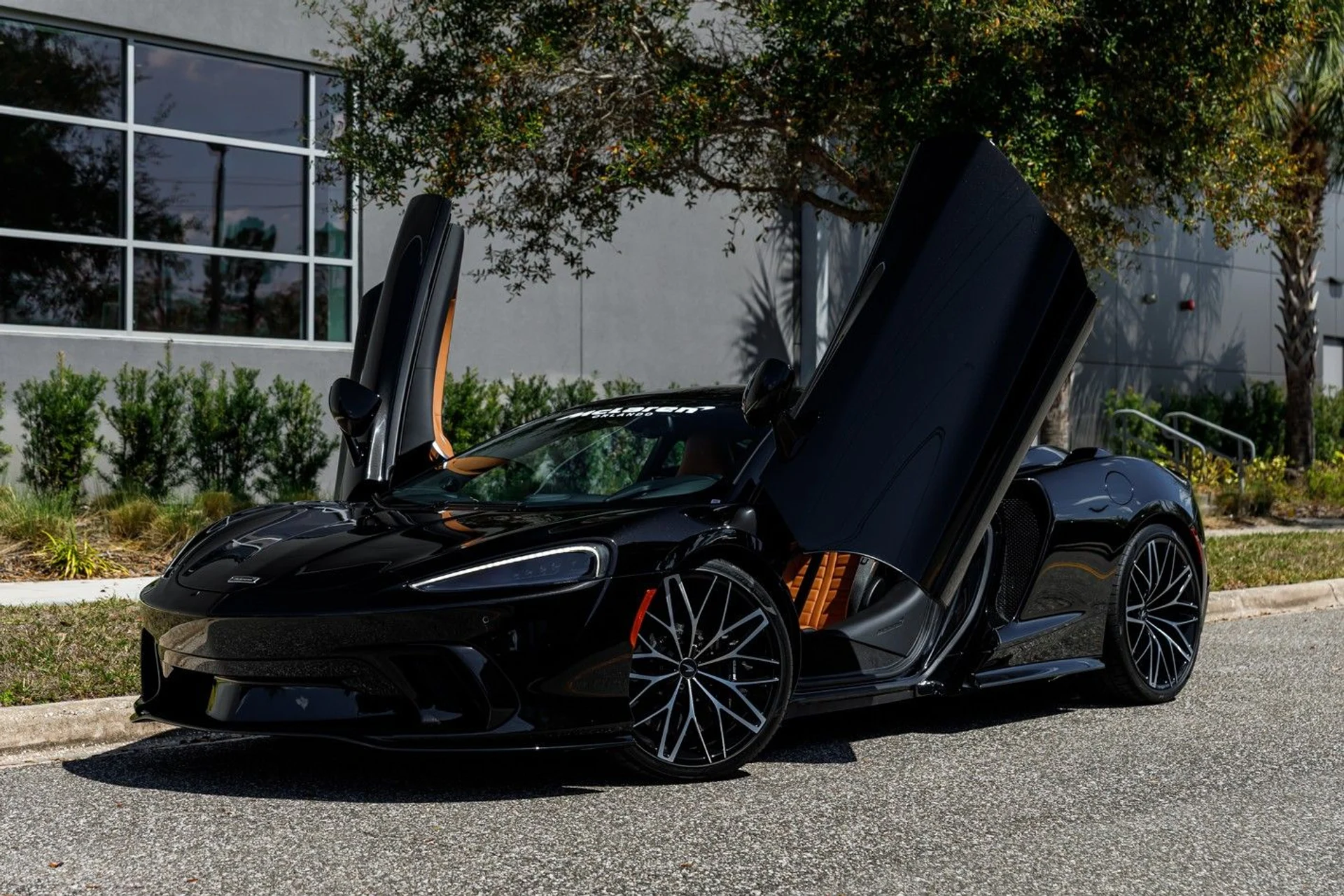 mph031_76867929_470_p32_l_dd07a8ba8d