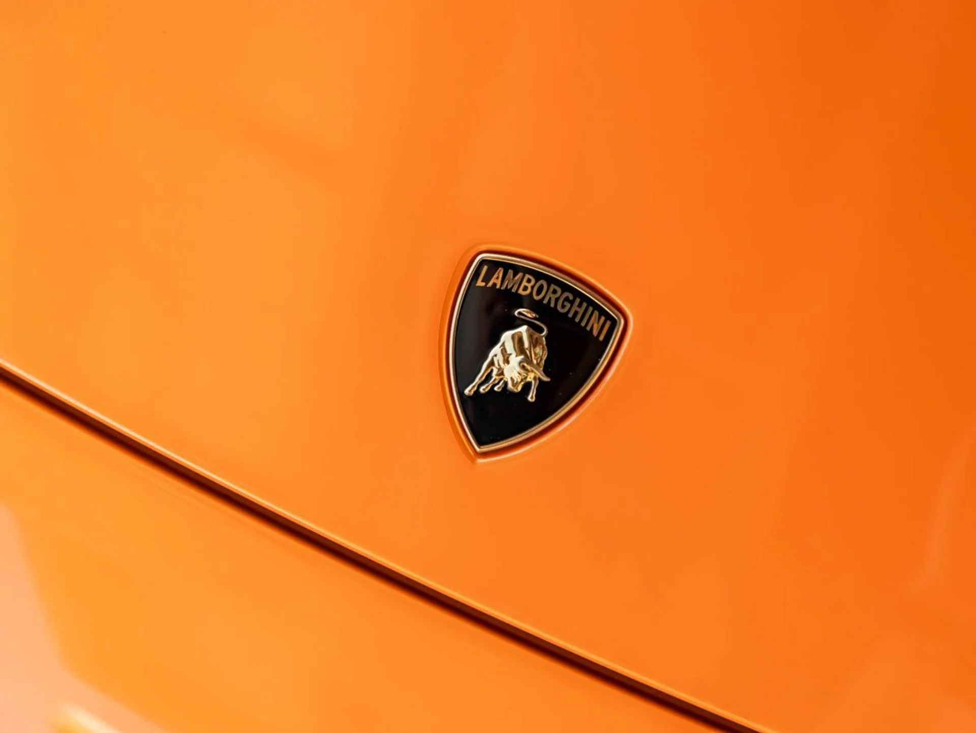 mph031_774673388_32_1716f35208