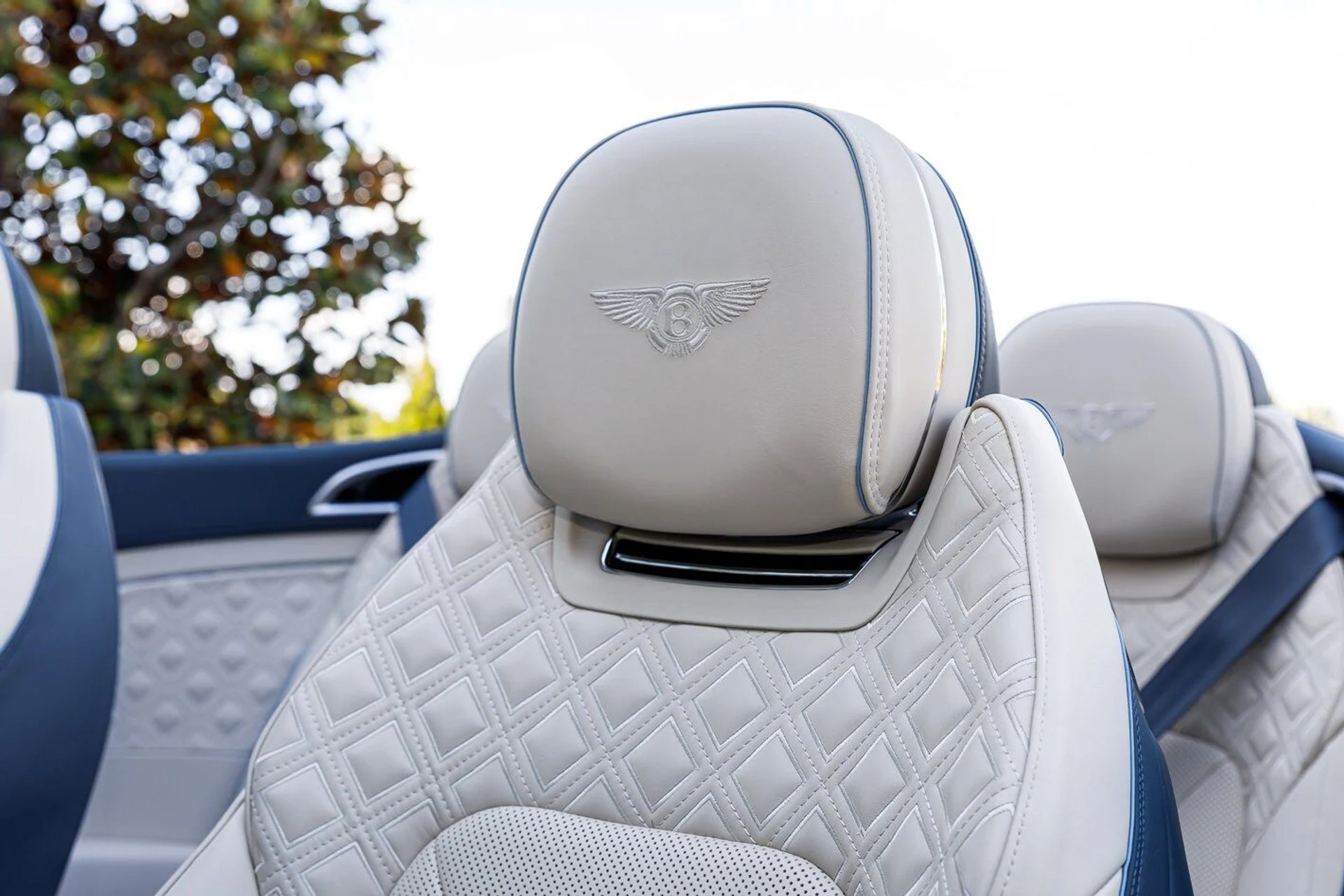 mph031_800735914_933ccacdf3260e41ffc510895c52f318x_5186f014a8