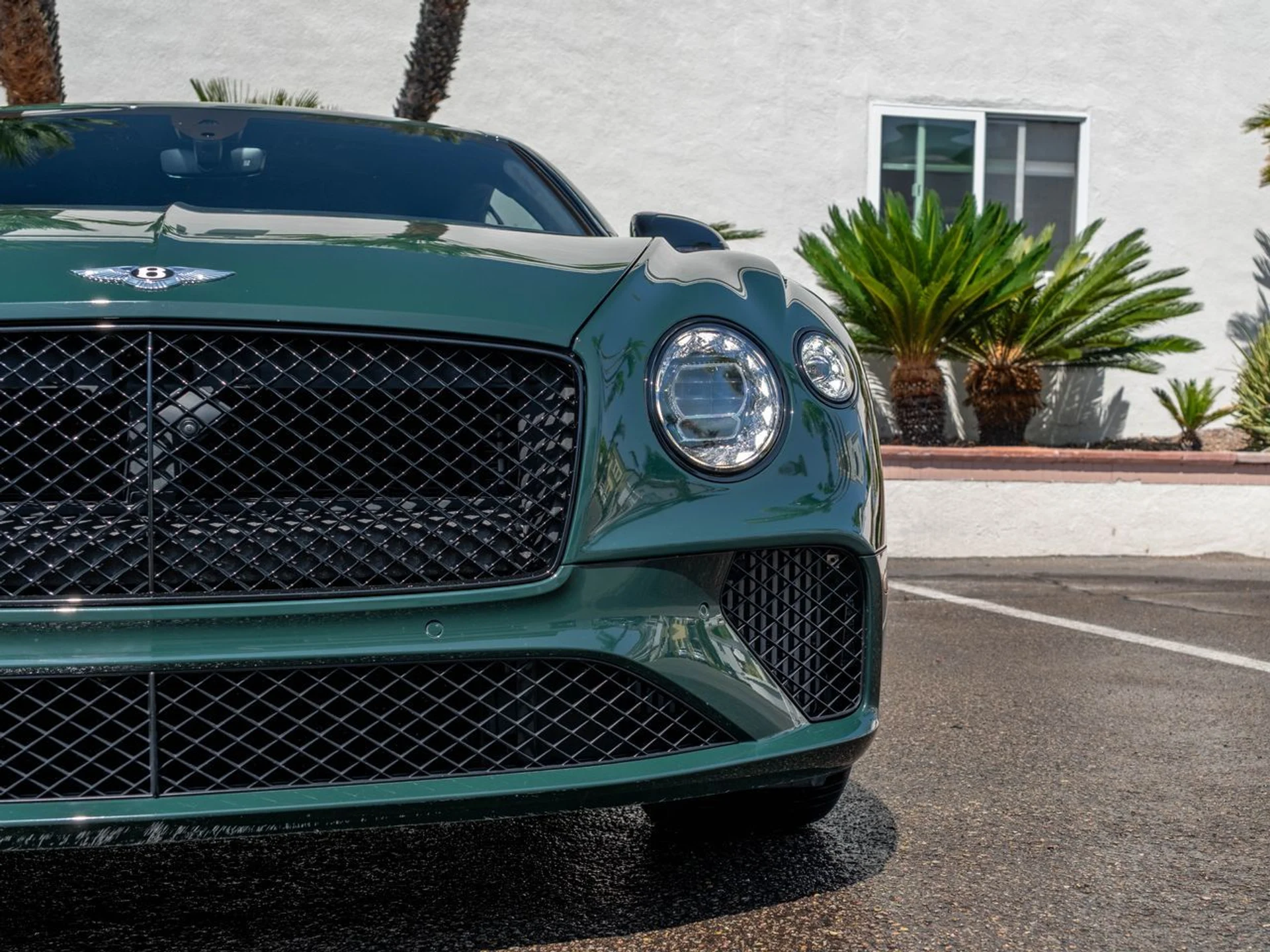 mph031_840323887_515142637a665819e8bddcda7667f8fax_3fb47f99ab