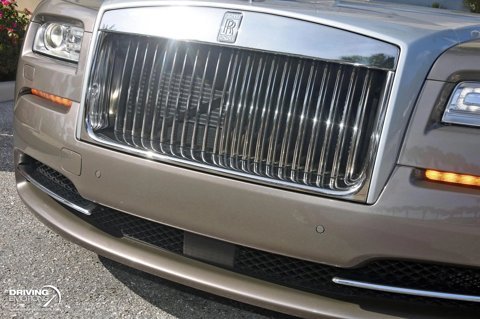 mph031_85527790_883_p32_l_9bc86ddd6c