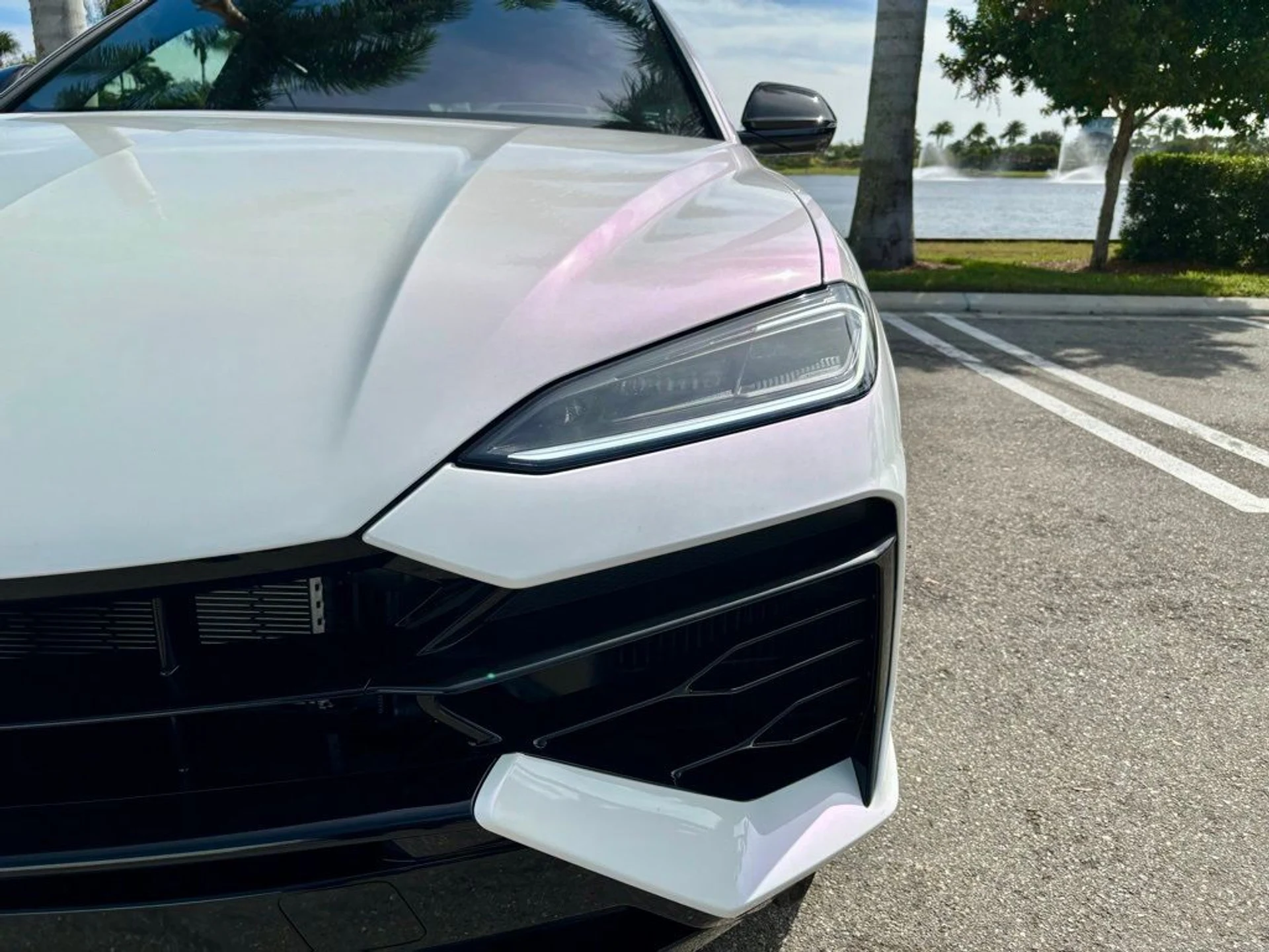 mph031_875923142_9ce955b8219c710763ee190e3ae197f8_ee059a094a