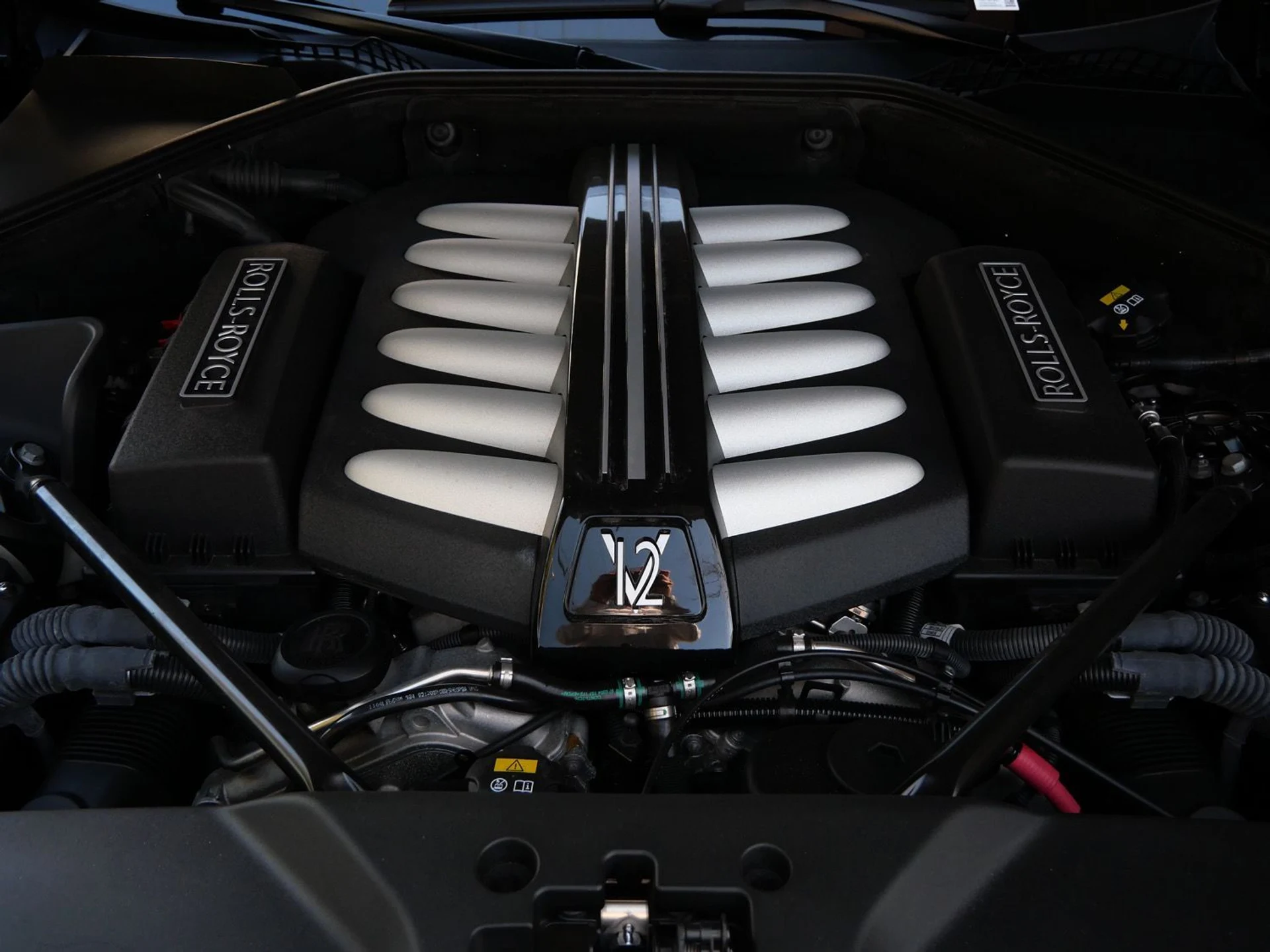 mph031_897121077_01ce76b0956bffa4706b03ff01991bc8x_a7cd219c29