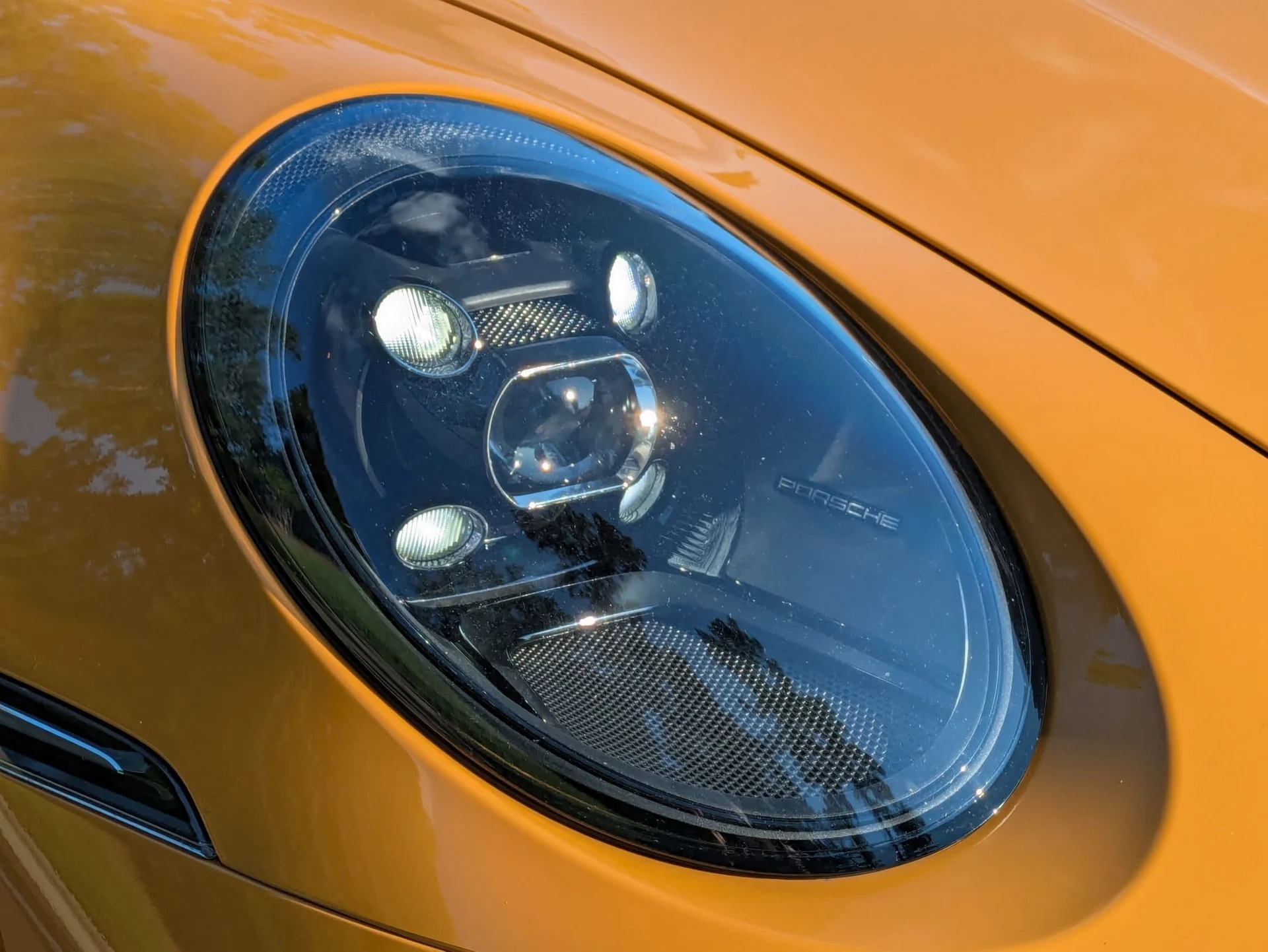 mph032_1259638760_e23973ee609cb6d2e1c4f991e40ca664x_56ee55d683