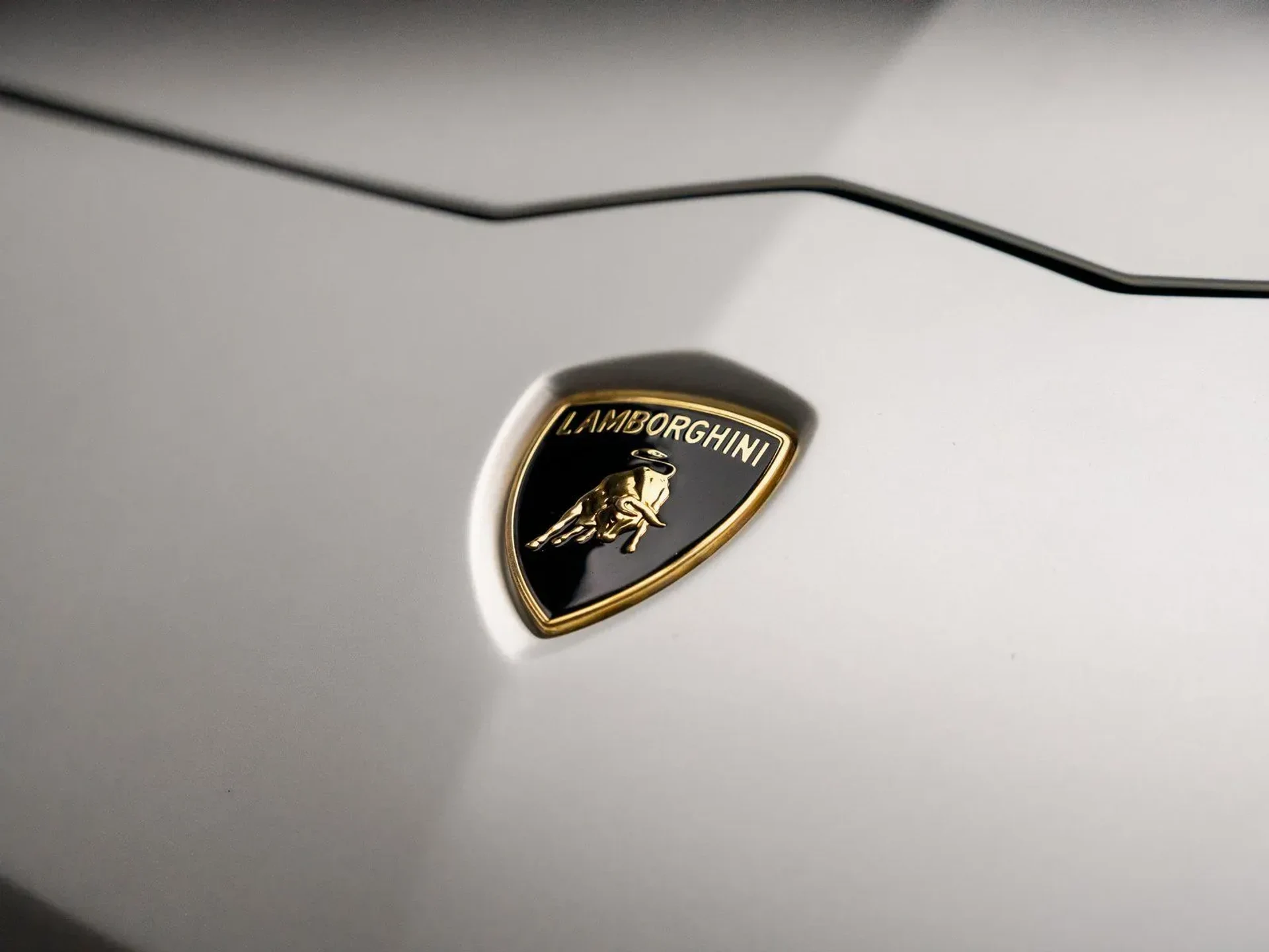 mph032_1363018102_7a01e8bb_89b5_4ebd_a294_08f260aacdc8_7ab35e333c