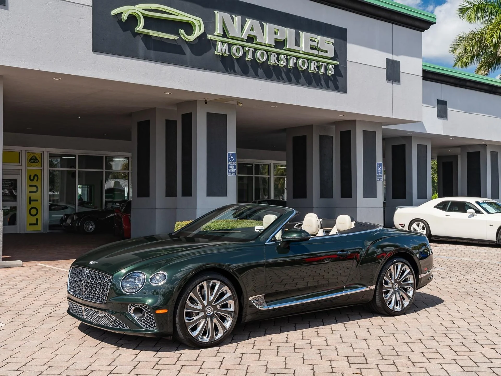 mph032_1810622842_Used_2023_Bentley_Continental_GT_Speed_1761343549_f505b5a294