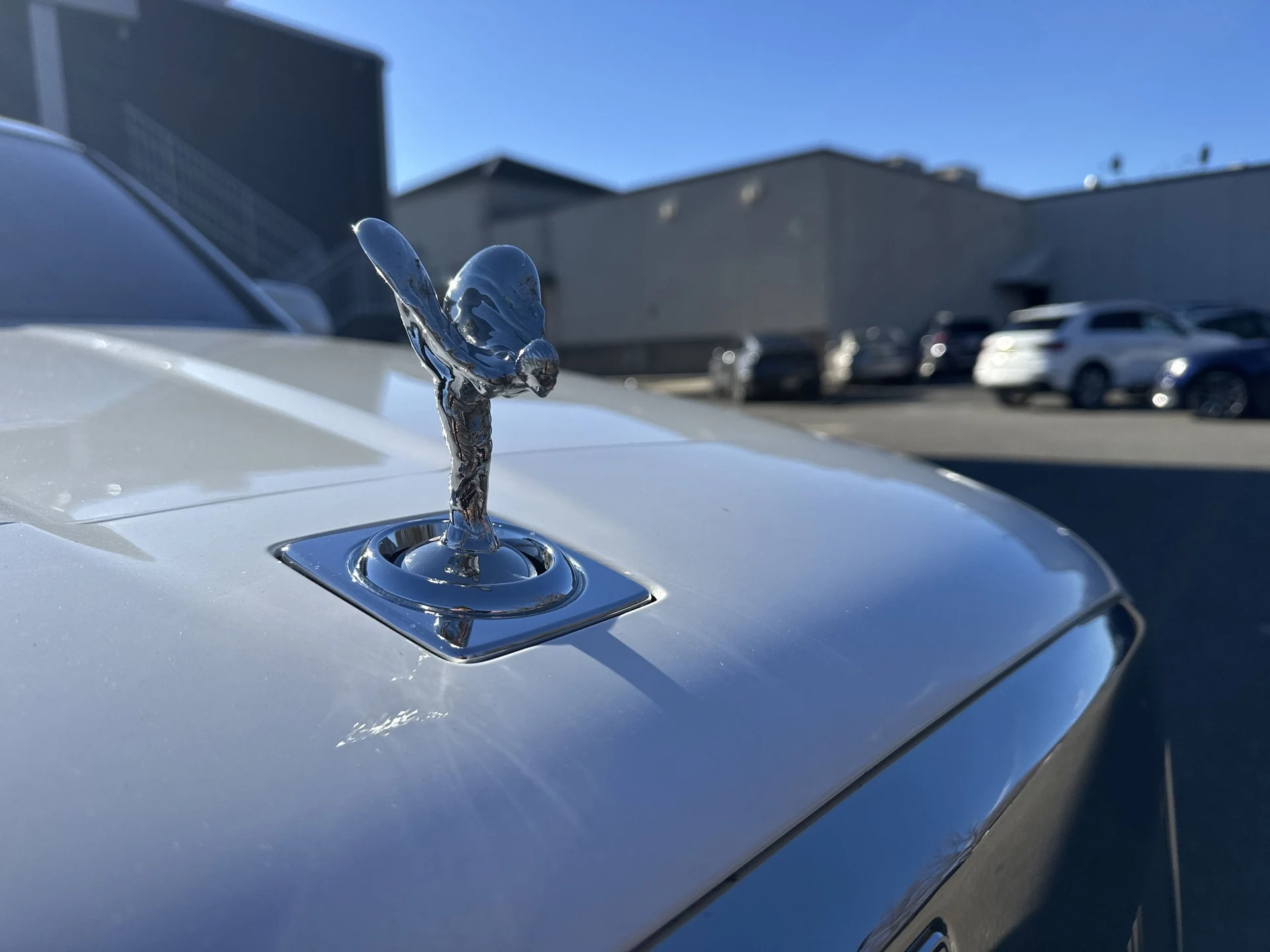 mph032_2010452713_efbb329d8a355dbc107ead70041d24a5x_cec6f8b3d2