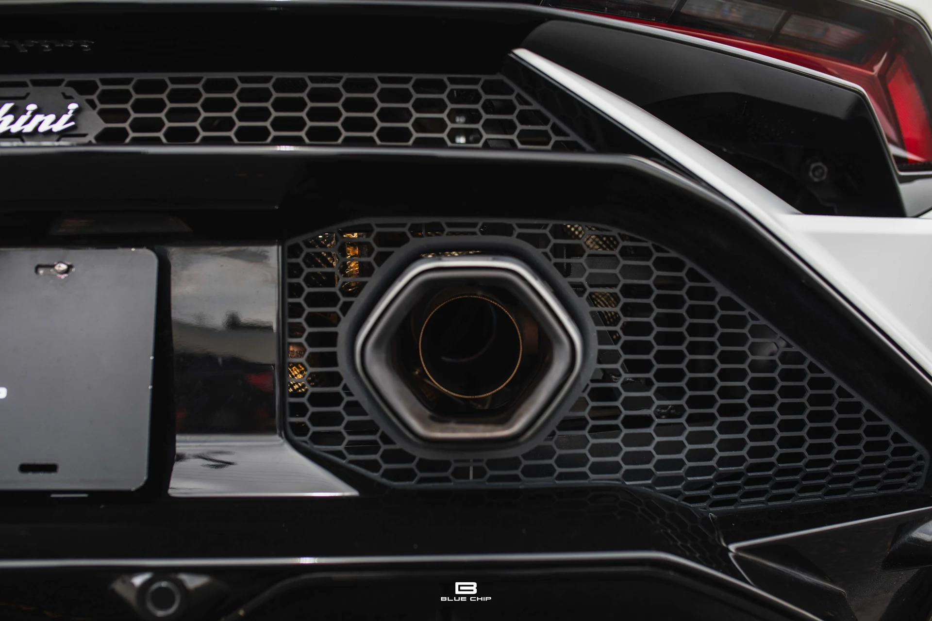 mph032_2175971205_69cefbb5679a37cd7de196cc_93_A2956_76618baa41