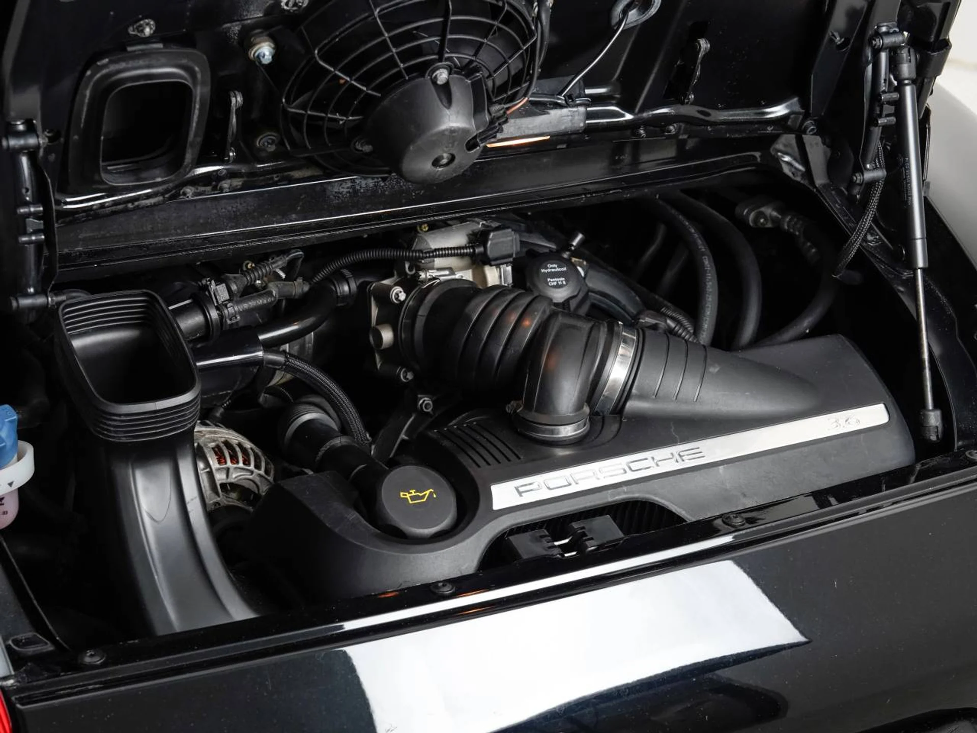 mph032_245540822_1280_84d3e34816