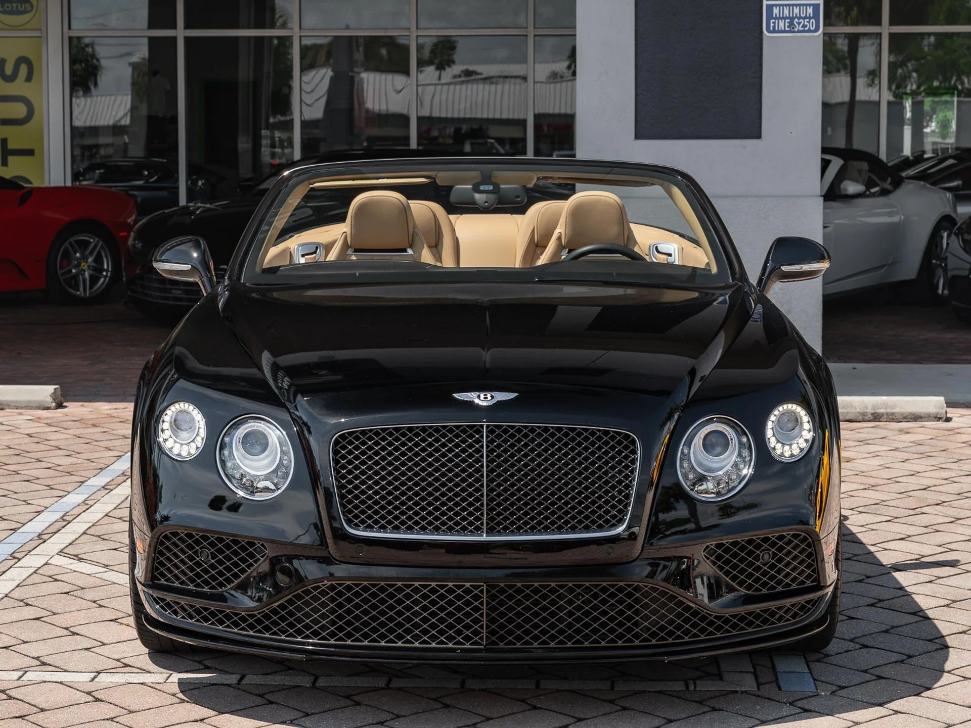 mph032_2456107030_Used_2016_Bentley_Continental_GT_Speed_1774476153_34089ad5e4