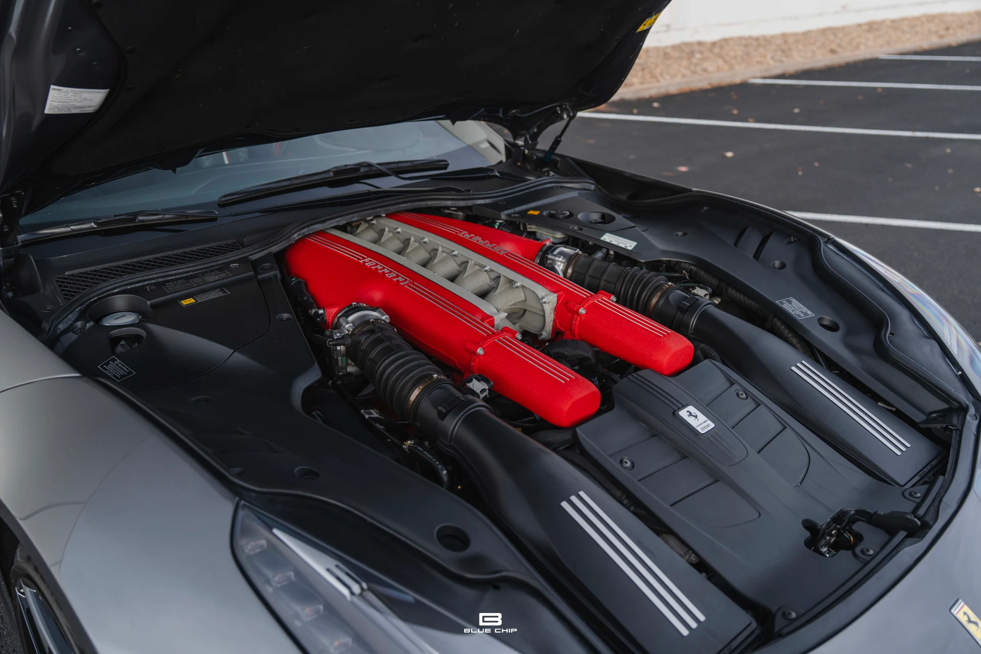 mph032_2634565633_693af98389bf50cf2d697955_DSC_04974_917c55f9a1