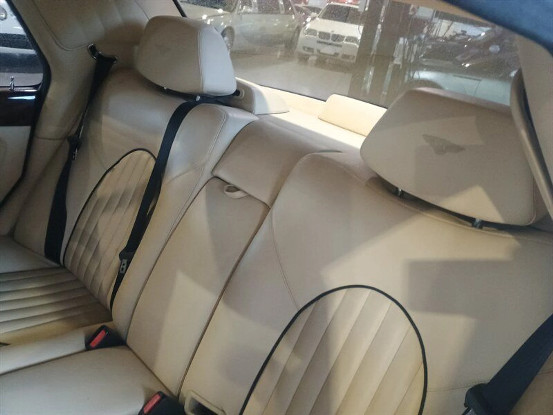 mph032_264640644_81d8893fec_800_7f3c8a748e