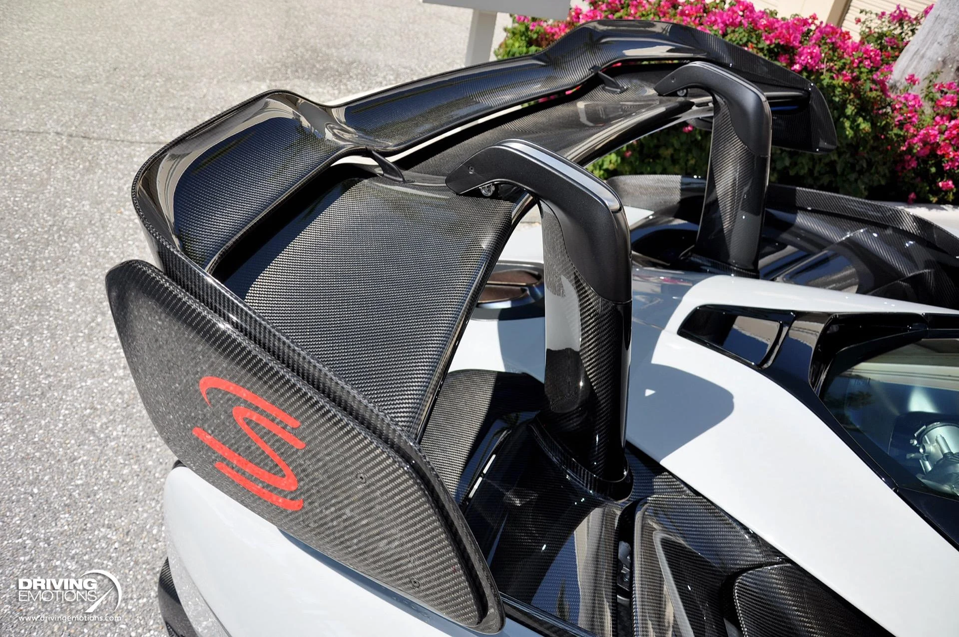 mph032_295330237_683_p33_l_36f20c1382