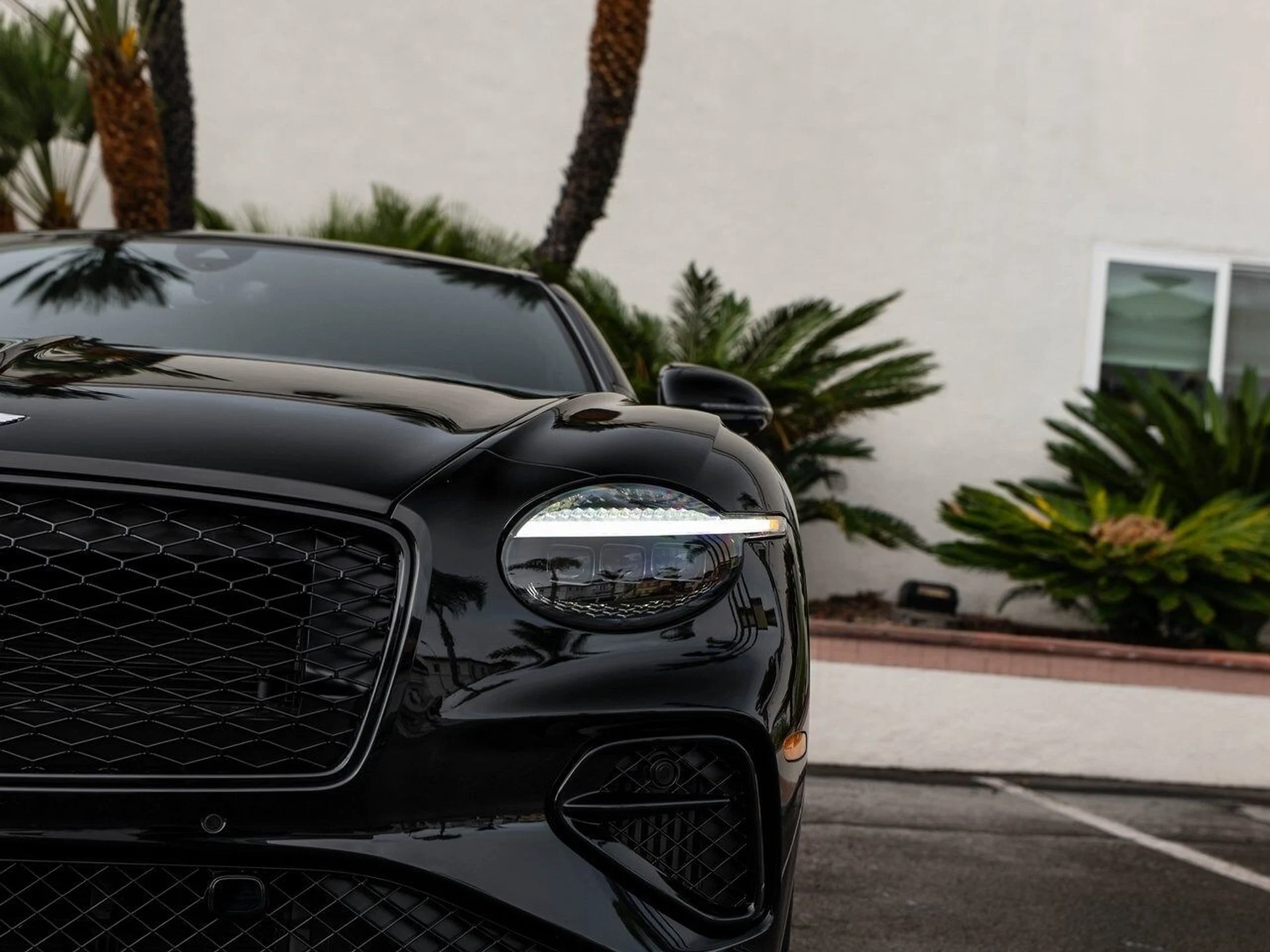 mph032_3026792016_8624b17cbcda809631468eea162d3118x_01946b5dd1