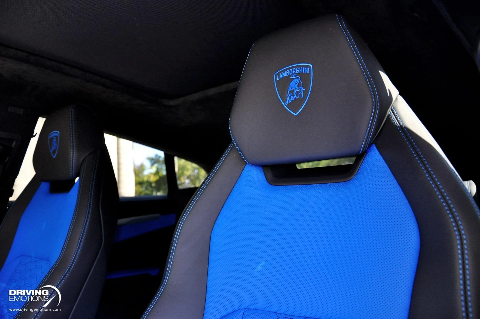 mph032_3188135634_801_p33_l_2ef0fa2ab2