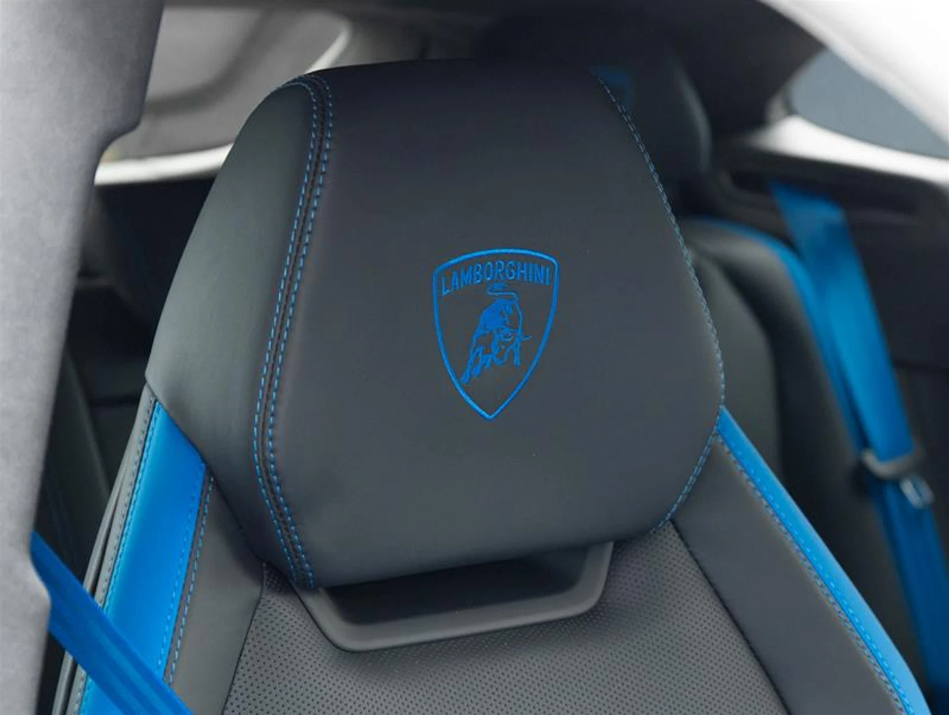 mph032_3311033865_12277097_1766039103_cf2c16ccd5