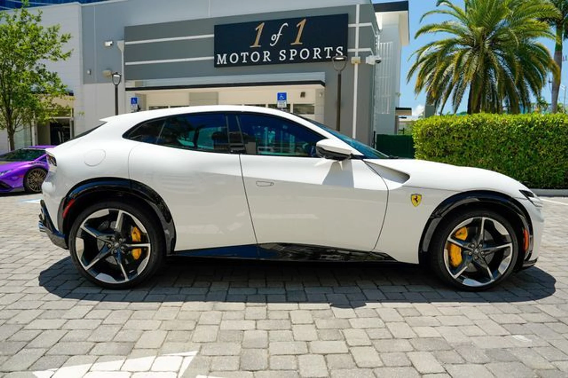 mph032_3337923169_23015679_33_bce6a04109