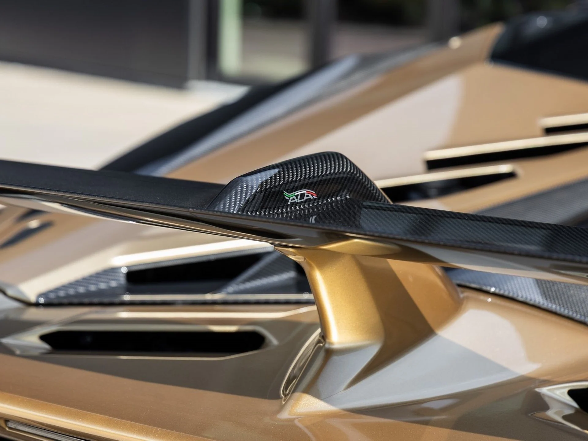 mph032_339795742_33_a5f34c2693