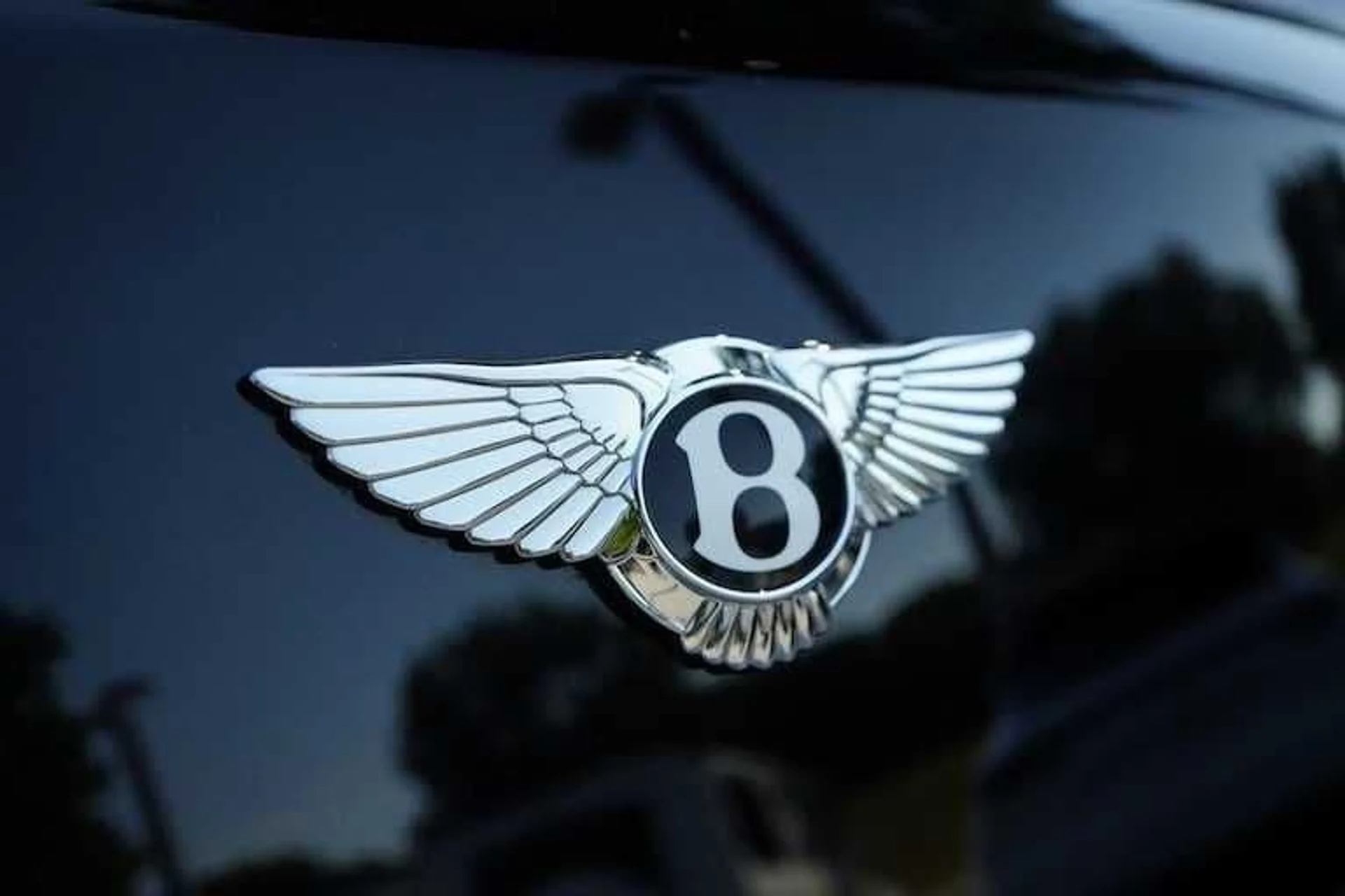 mph032_3436823339_516ec7064f5d095ec312ae52ff10b560x_c6e1d9bab9