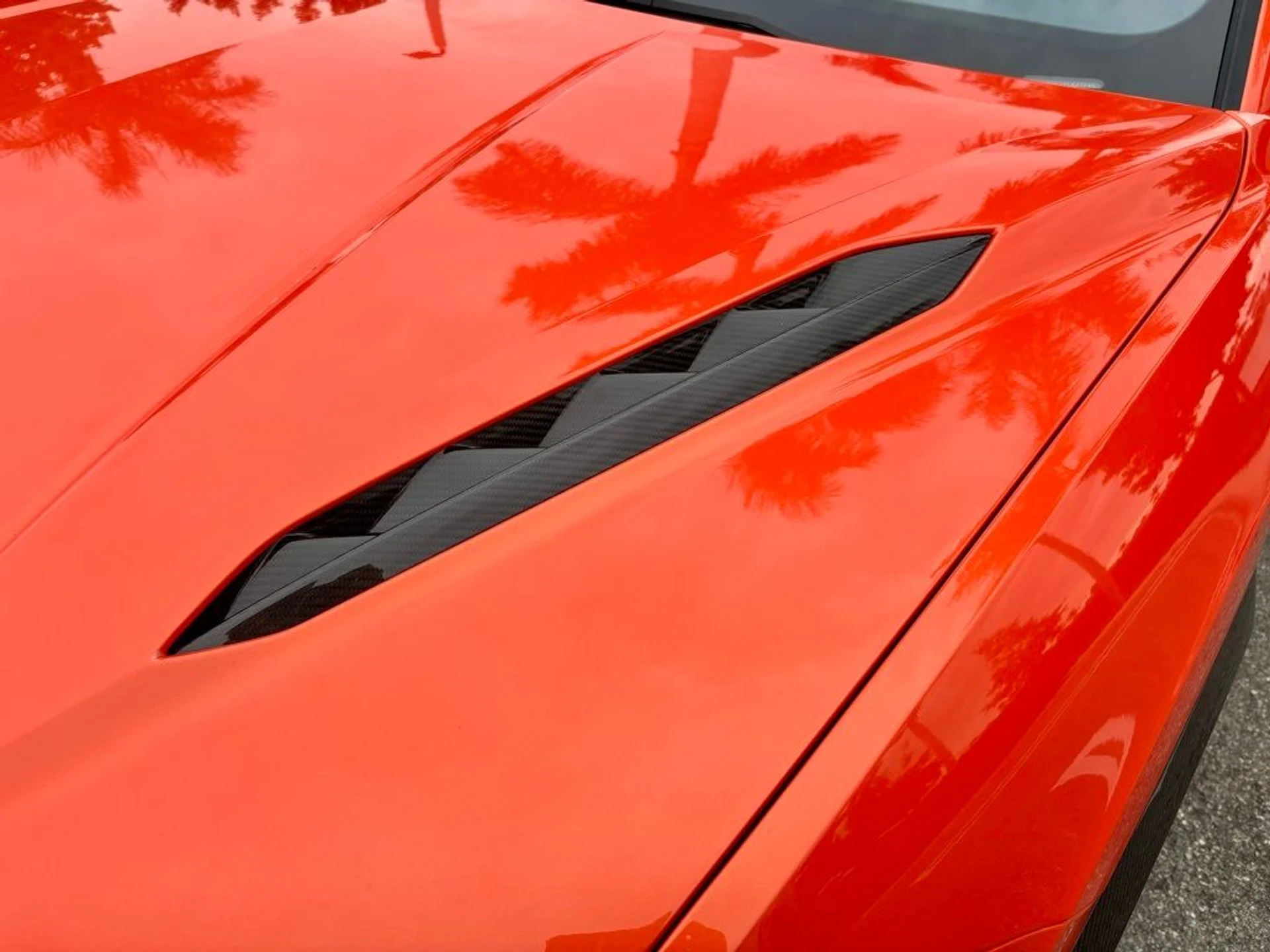 mph032_351213599_d50f98c45f39727a20caf9bff51557d8_ca51f4faf4