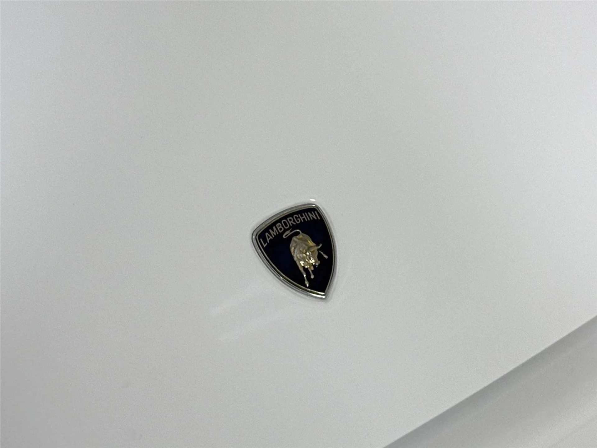 mph032_3544538311_2196f6ff0d008425b0ee8c05aab120c4_85911a345a