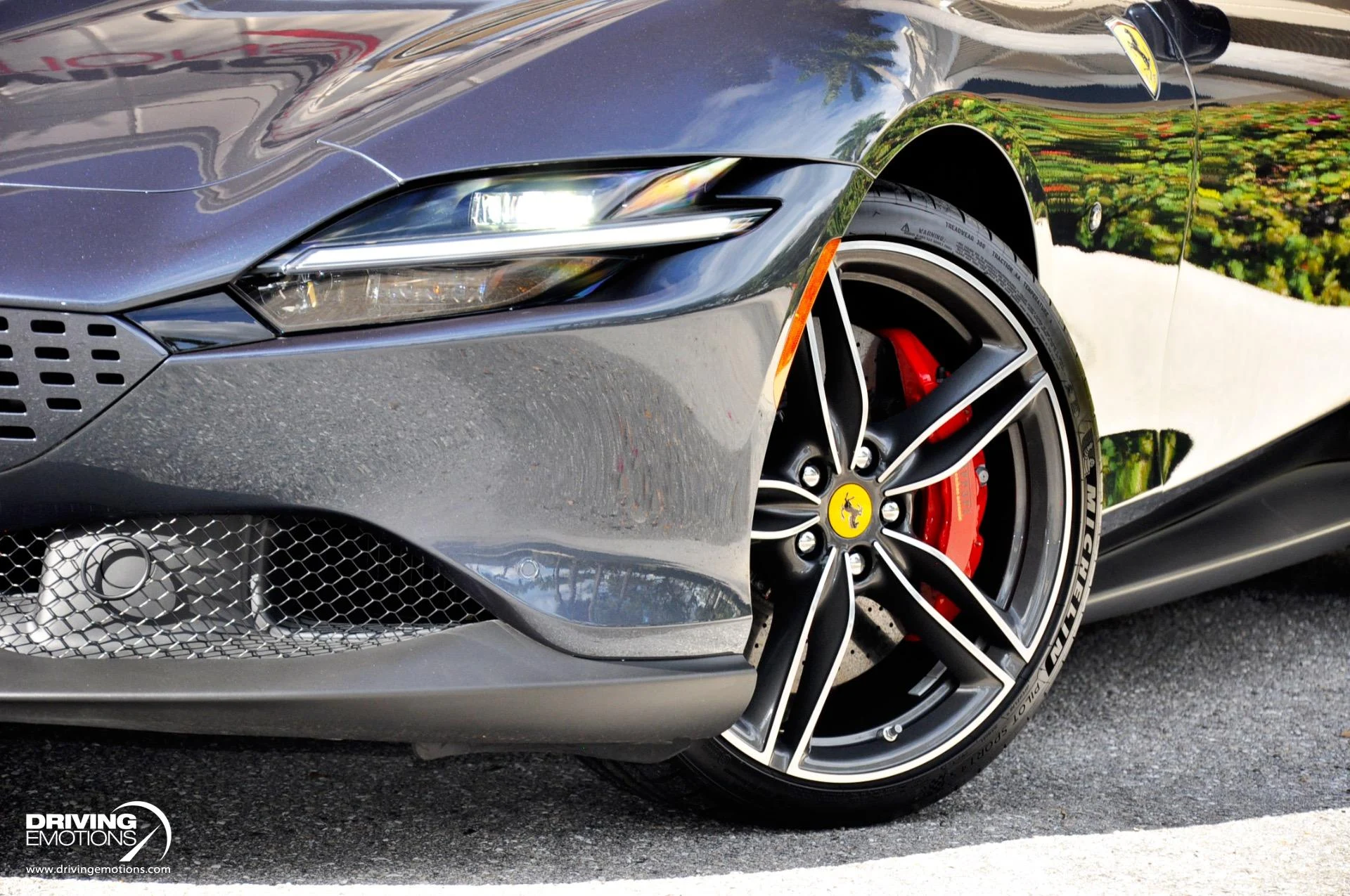 mph032_3551790834_882_p33_l_194fd607d3